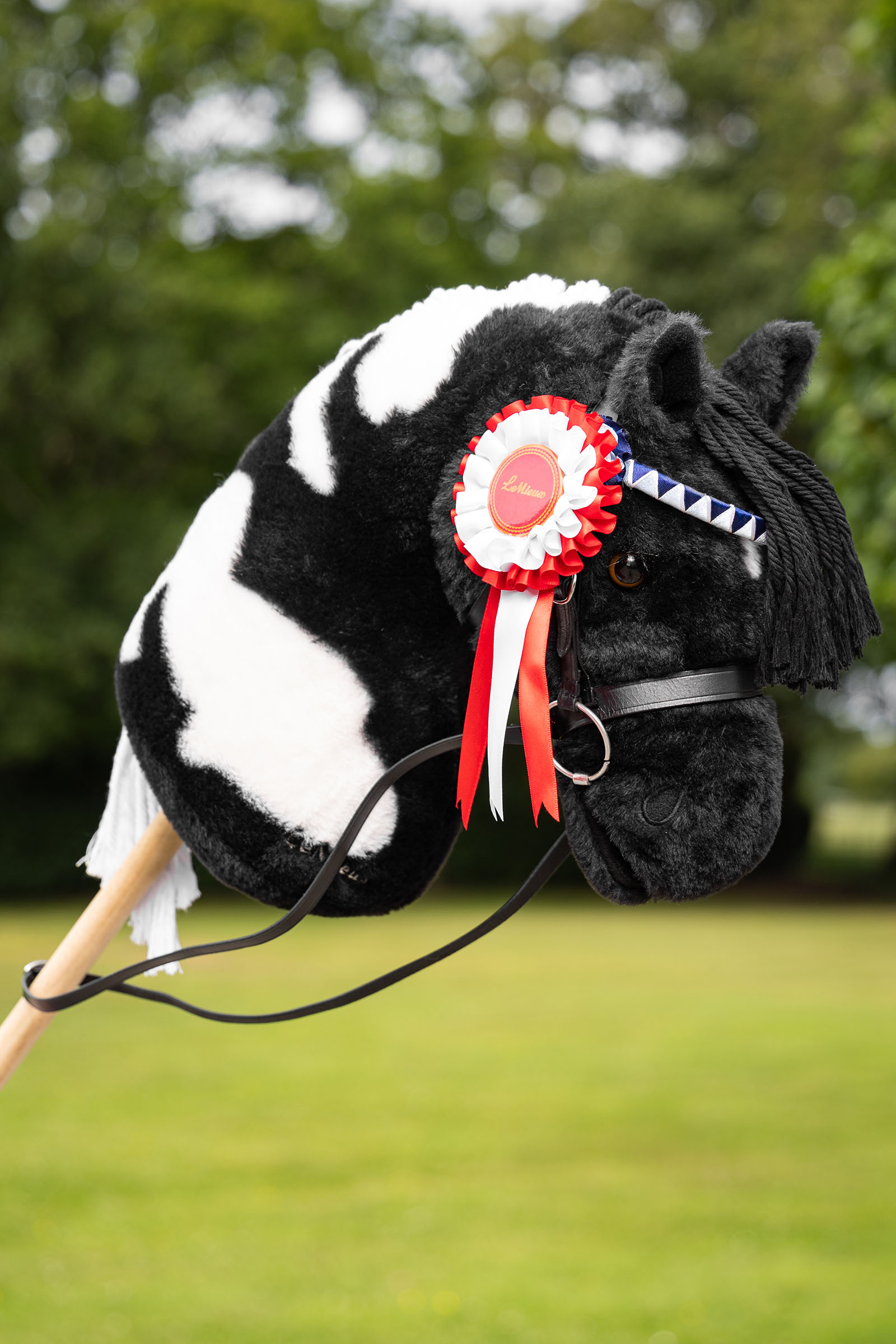 LeMieux Hobby Horse set di coccarde