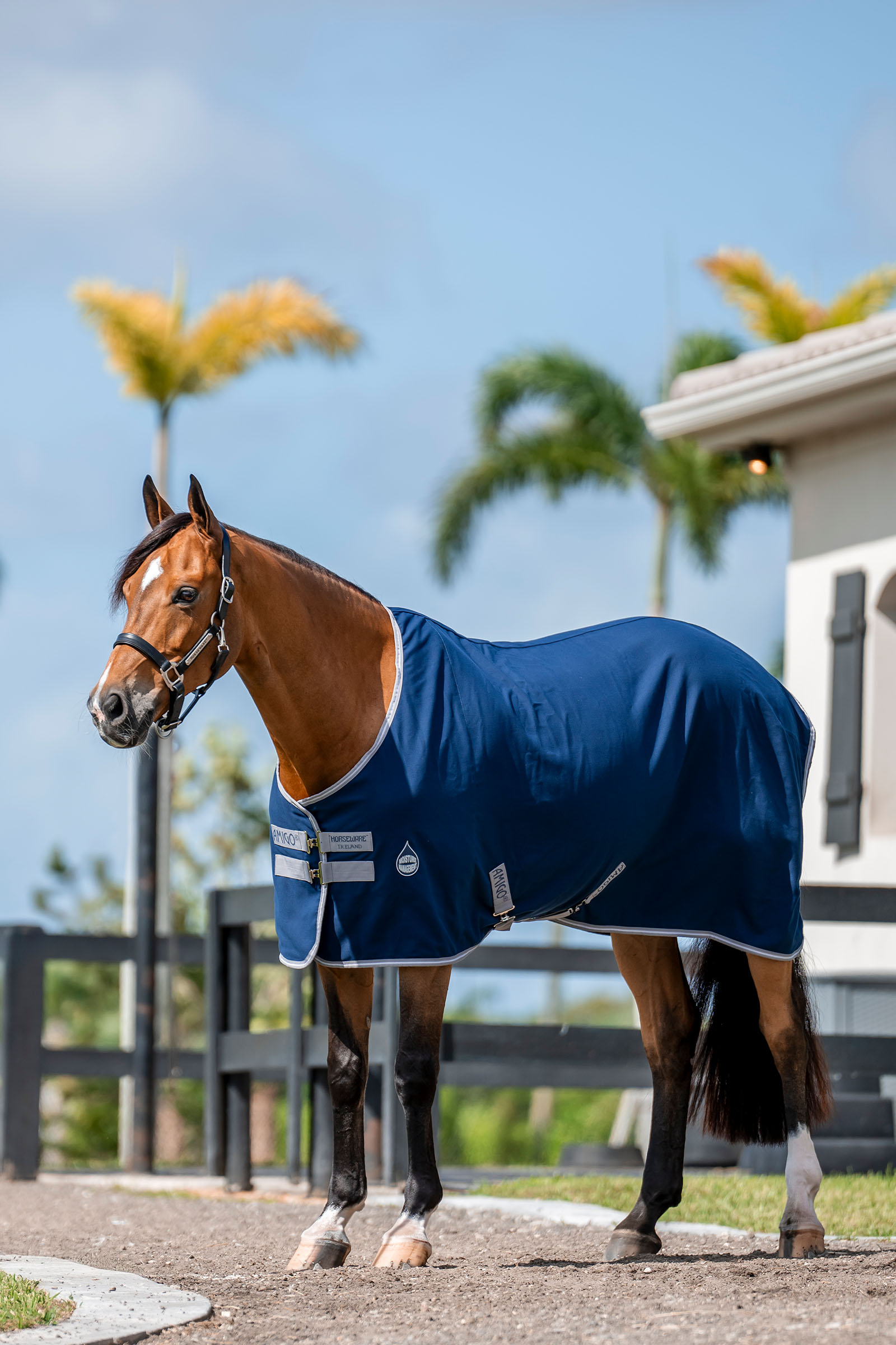 Horseware Amigo Coperta da stalla, 0g