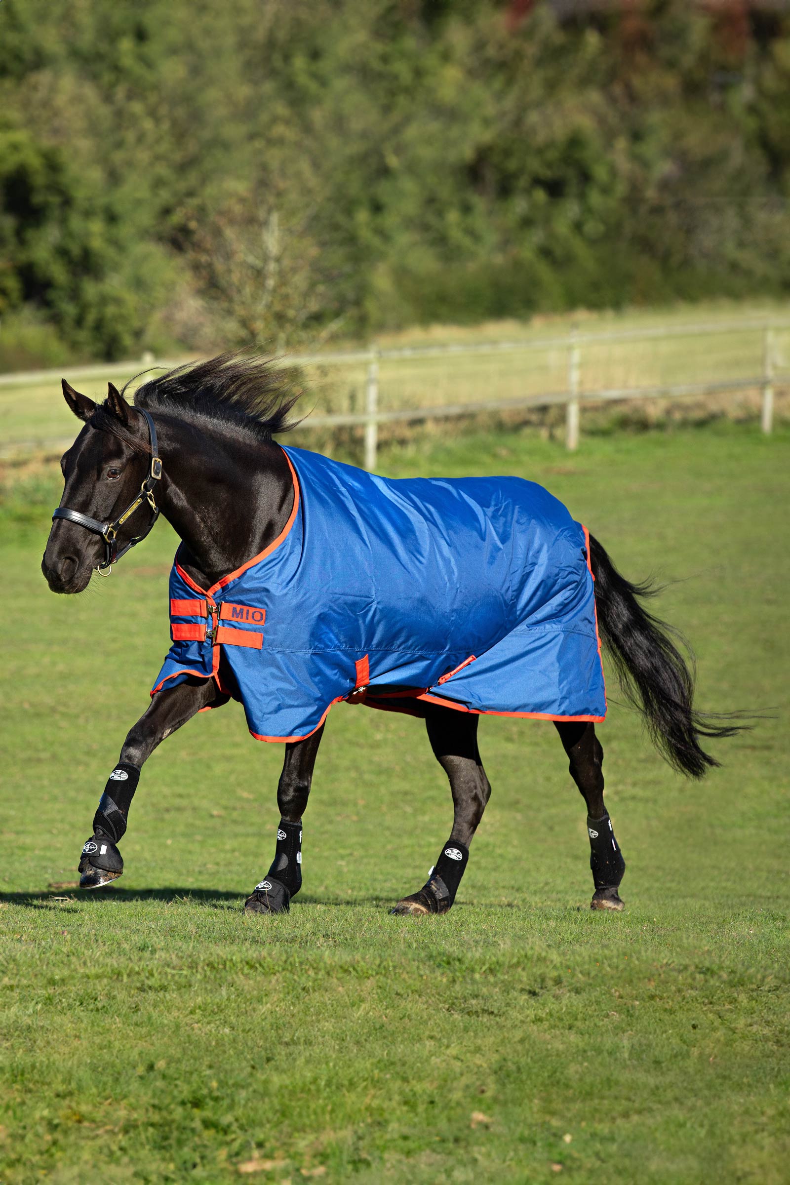 Horseware Mio coperta da turnout, 0g