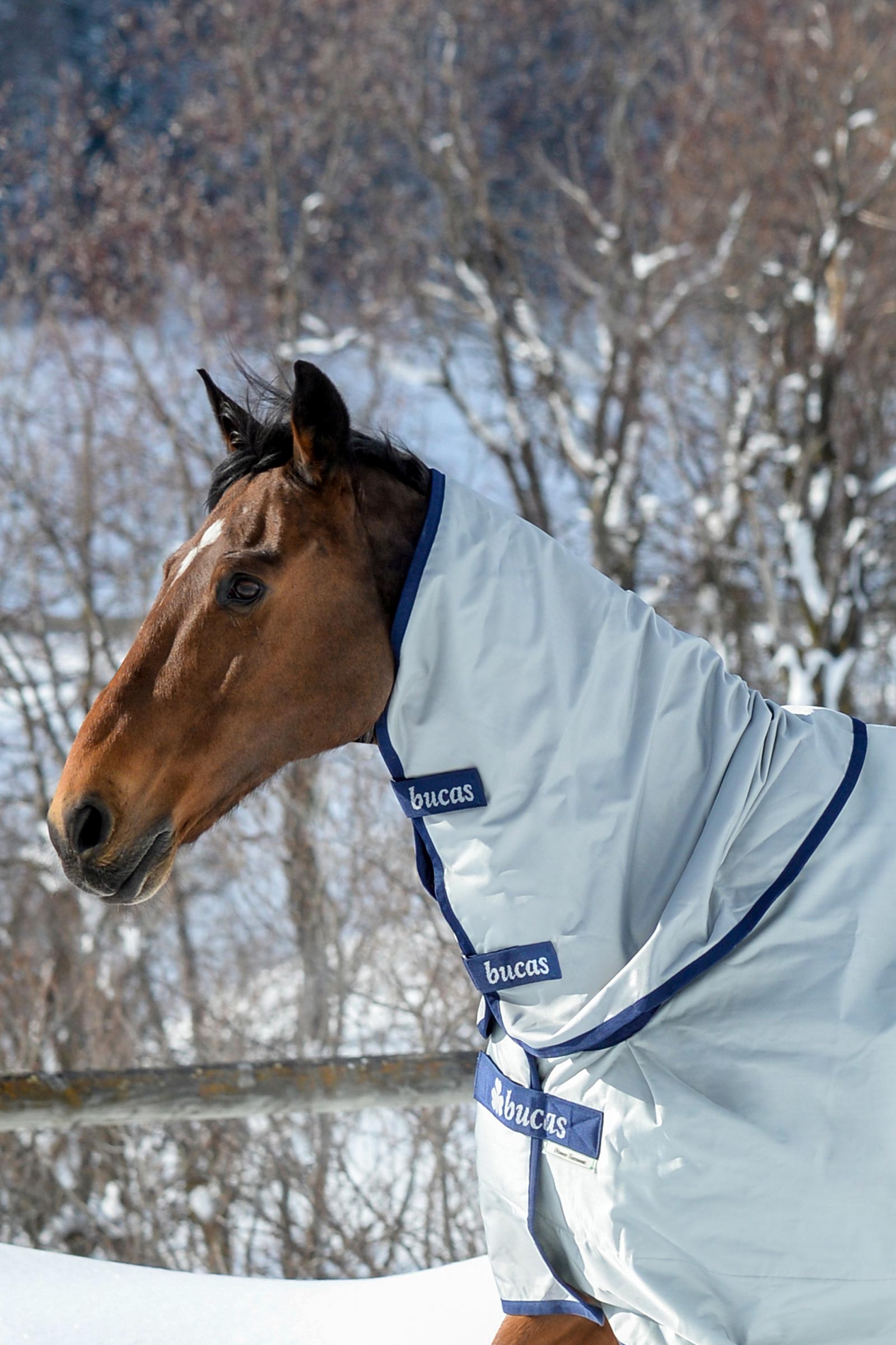 Bucas Power colletto per coperta da turnout, 300g