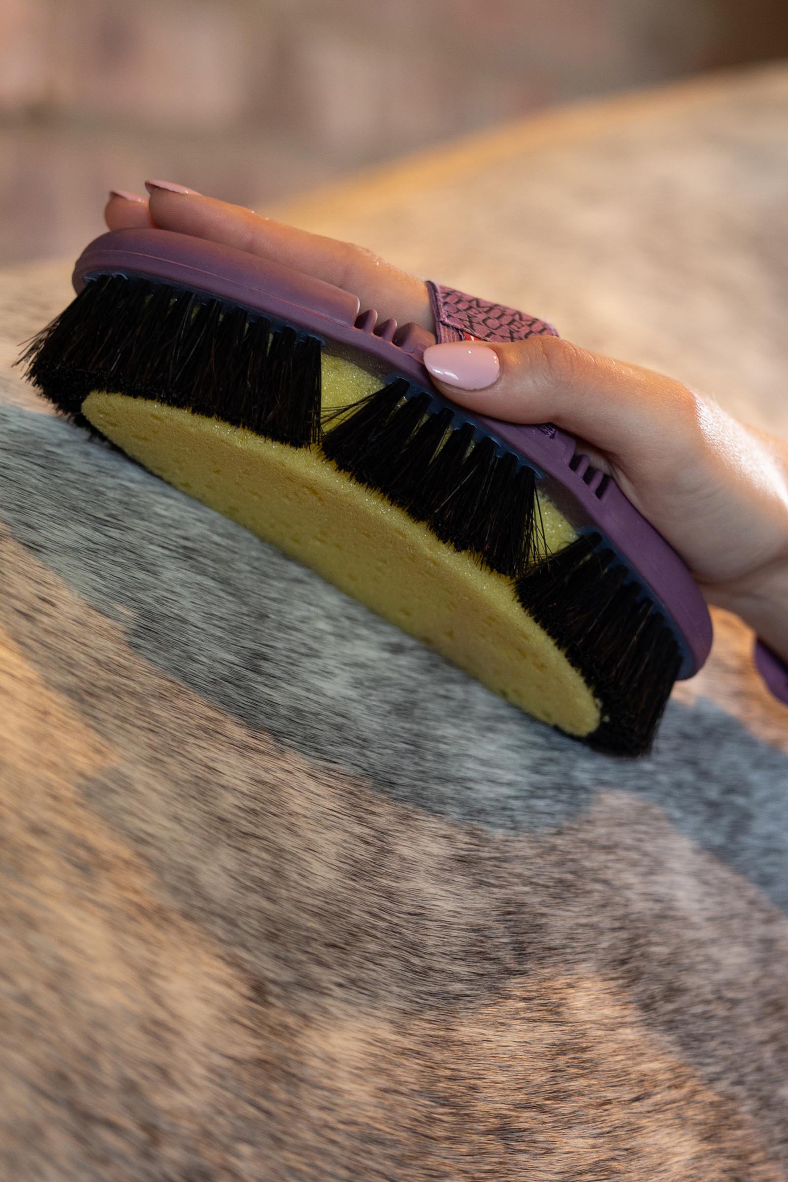 LeMieux Flexi Sponge spazzola