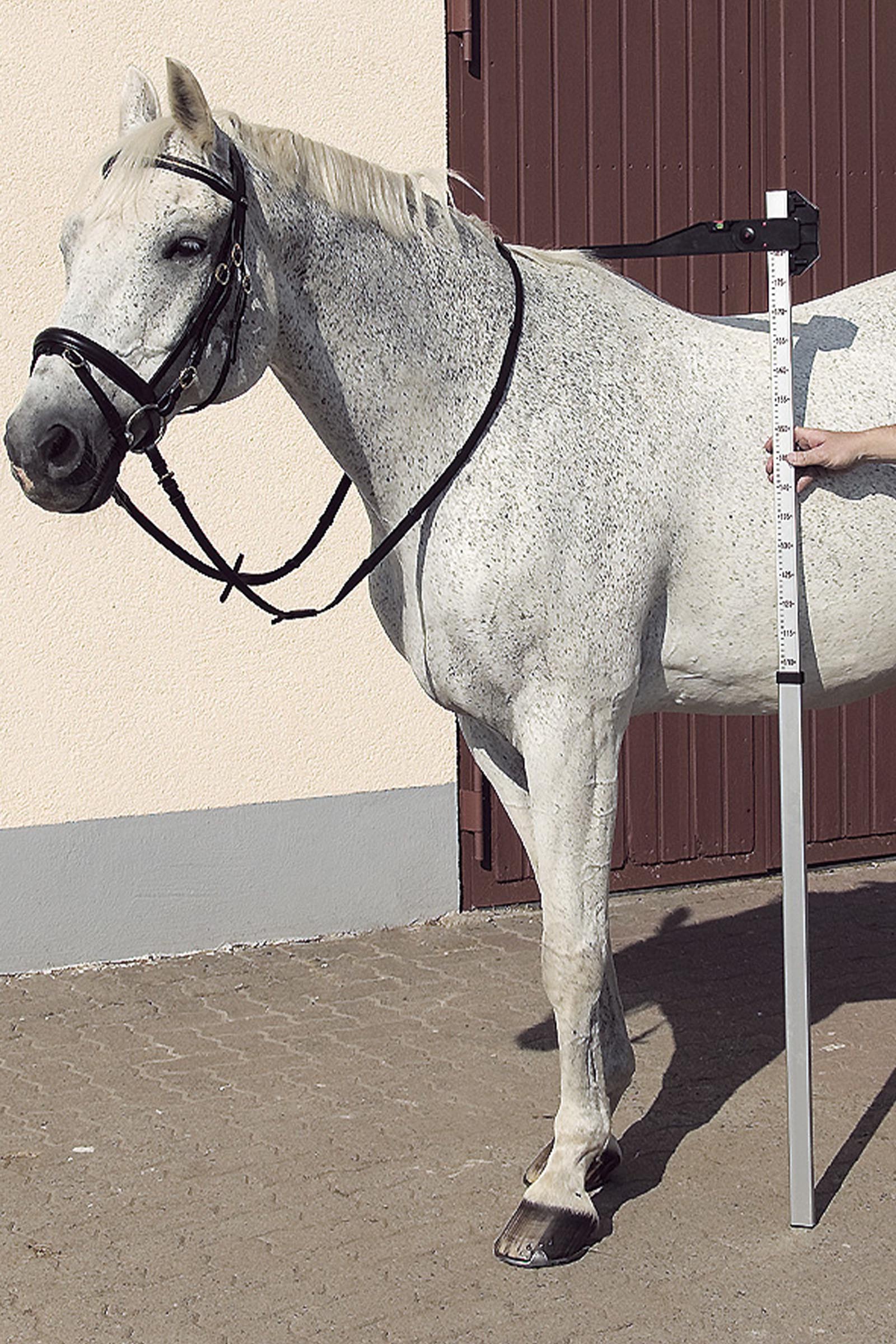 USG asta di misurazione in alluminio DLX