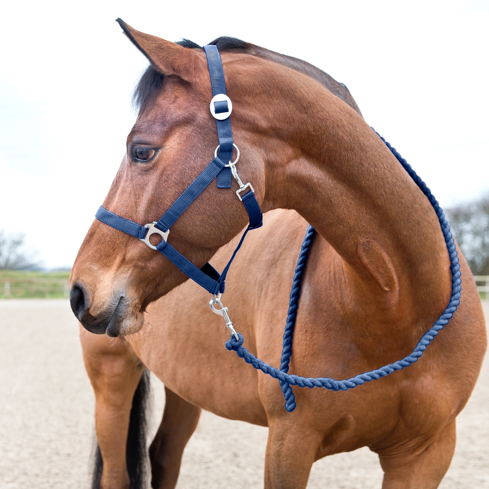 Blu scuro peacoat Horze Longhina basic