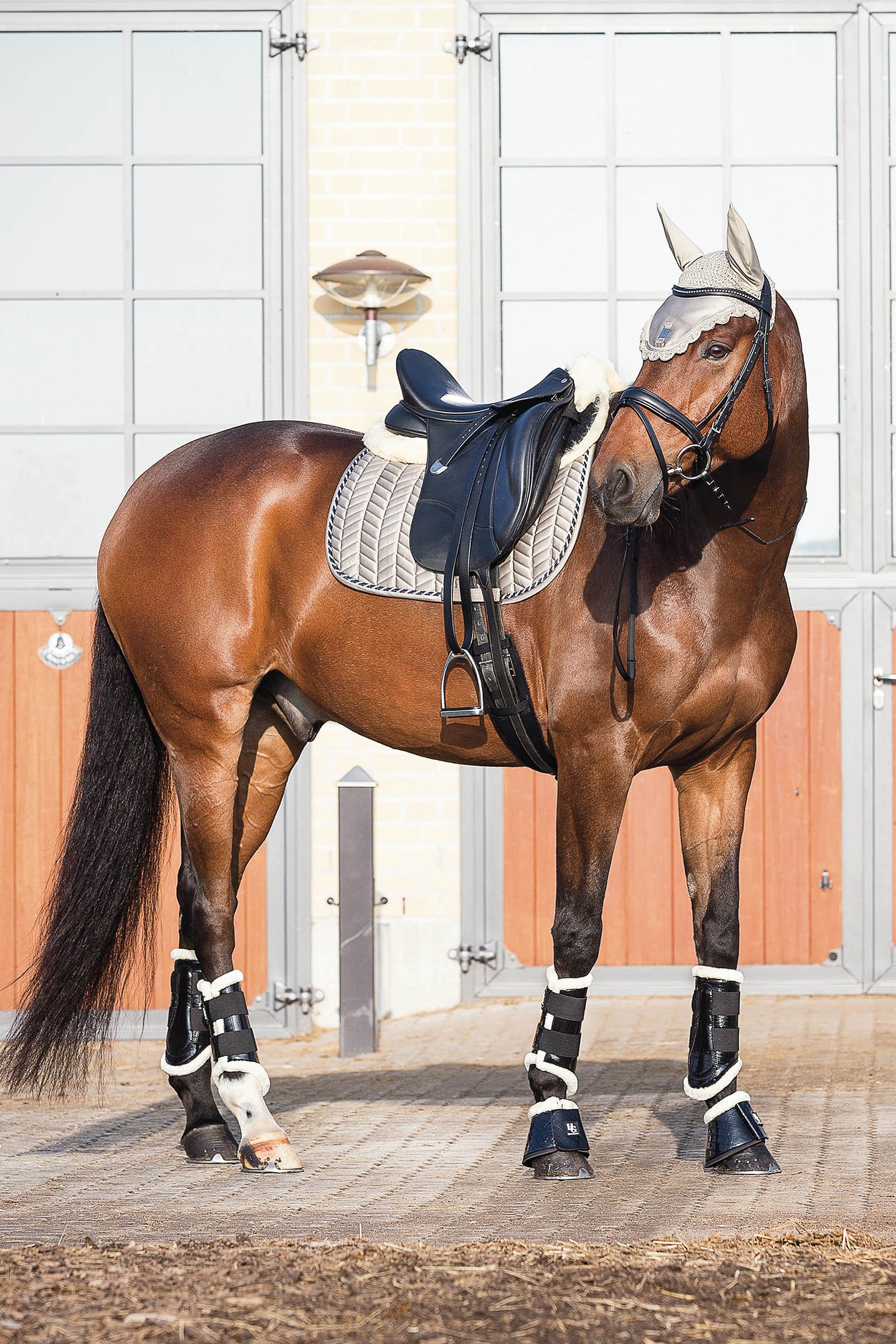 Horse Guard Sottosella MediLamb