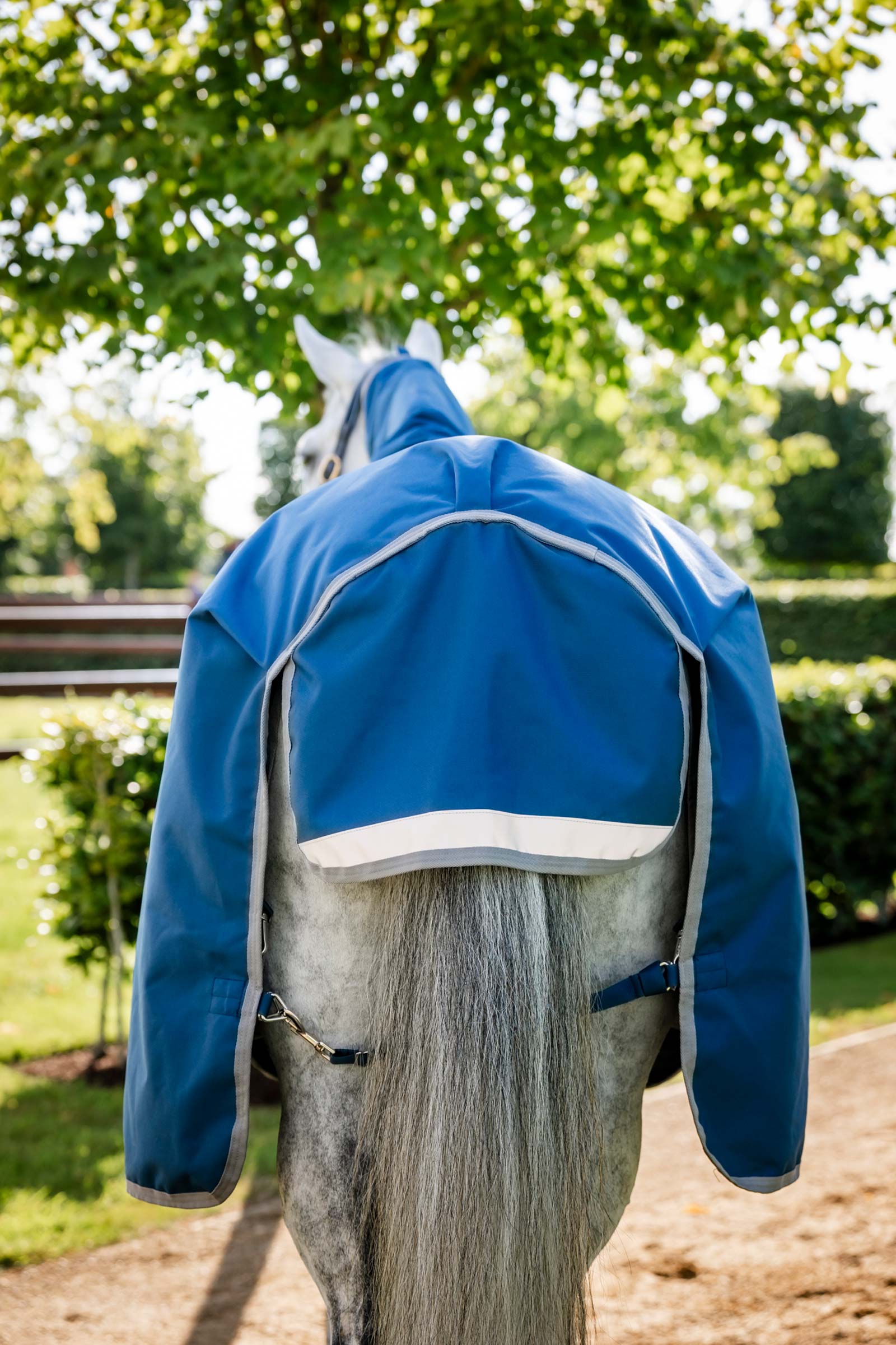 Horseware Ionic Therapy Coperta da turnout leggera, 100g