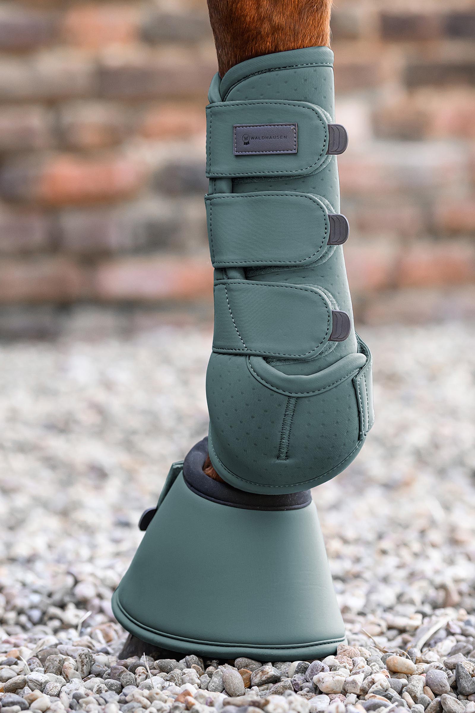 Waldhausen Performance paranocche