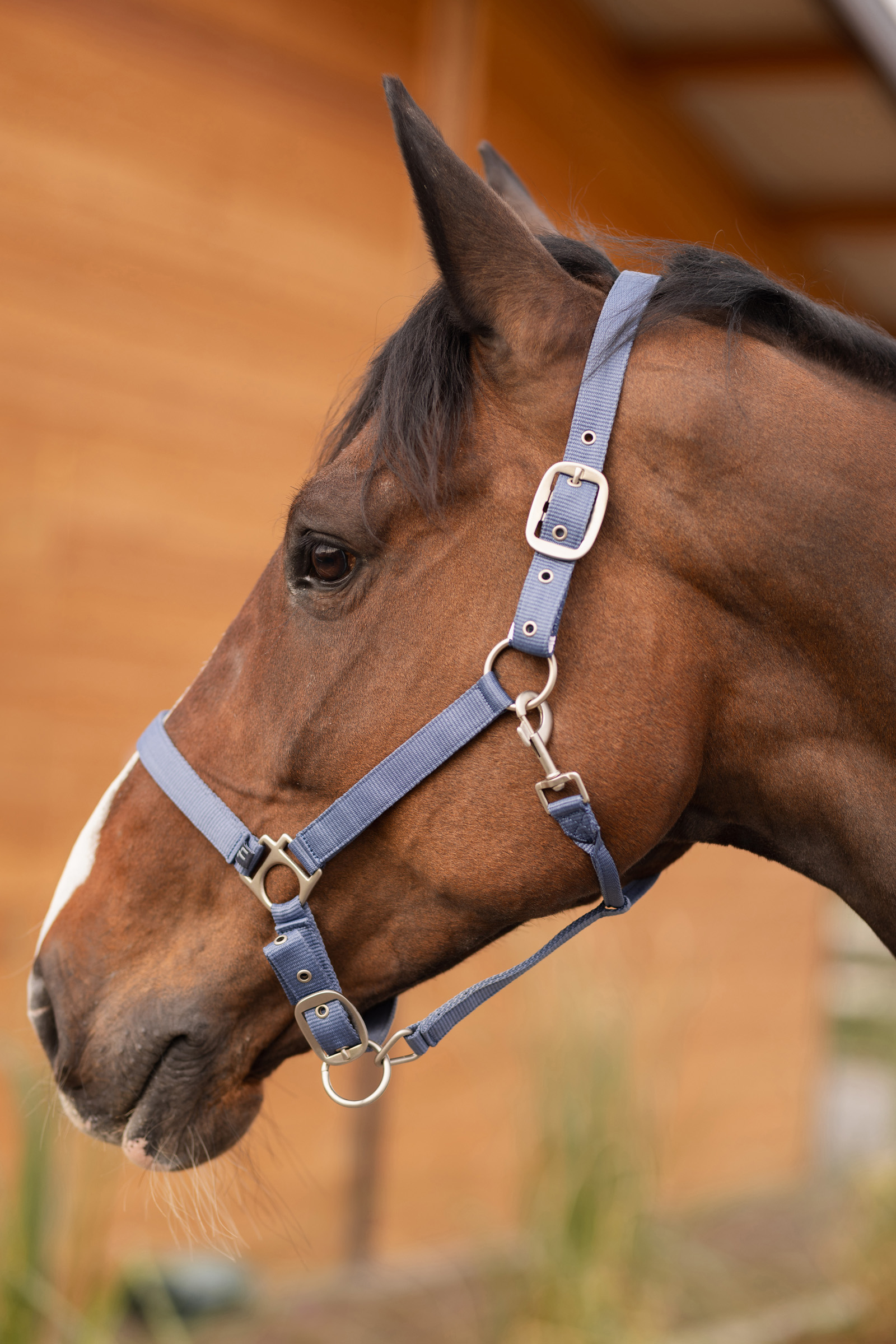 Horze Cavezza Rose Tonique