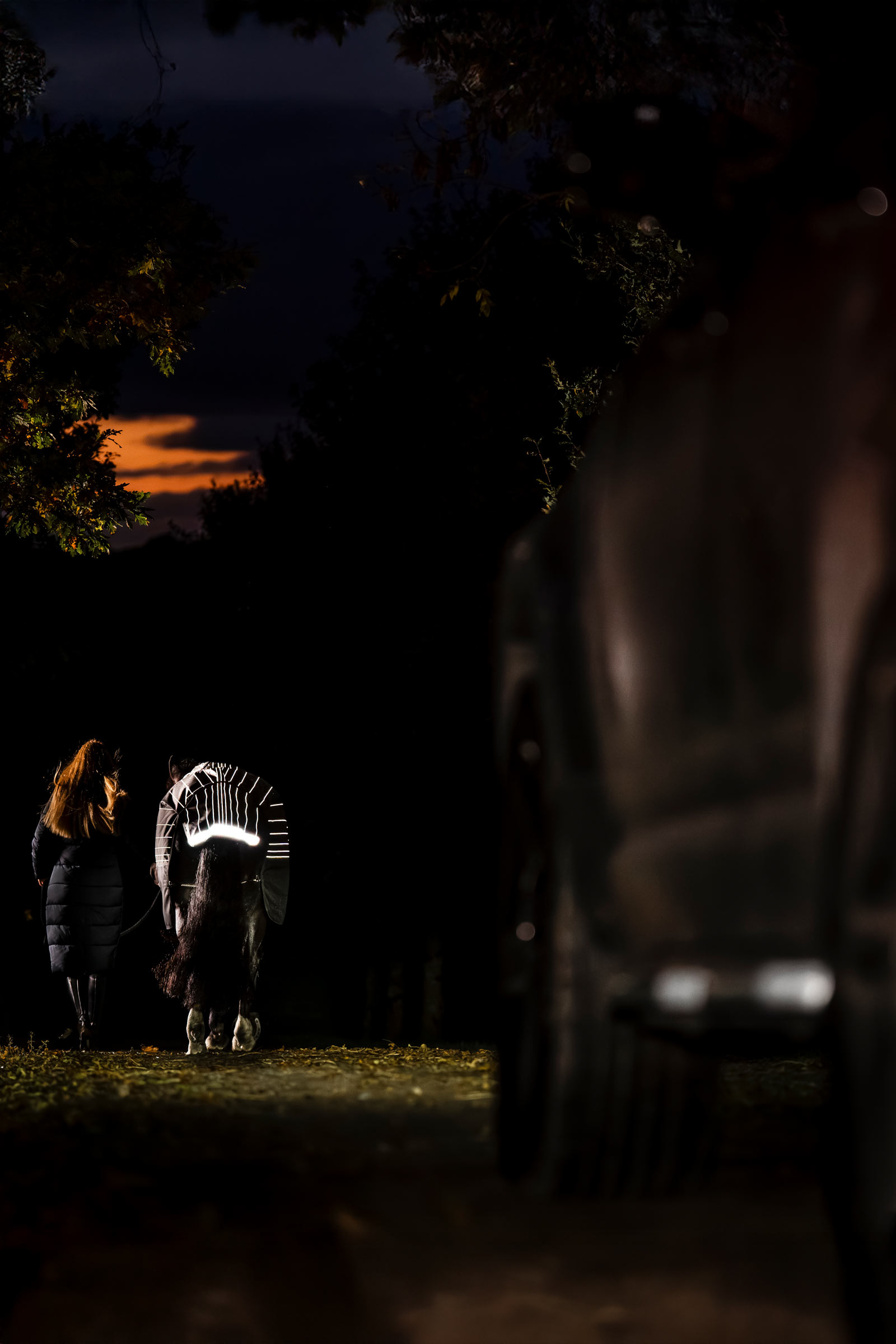 Horseware Amigo 1200D FieldSafe Reflectech Plus coperta turnout, 100 g