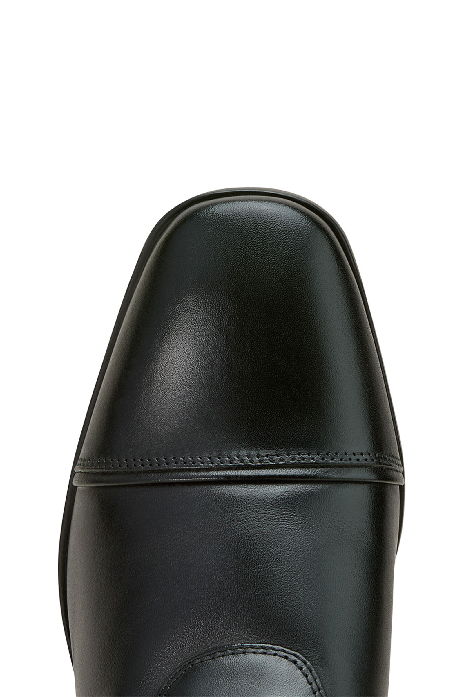 Ariat Palisade stivali da equitazione da dressage da donna