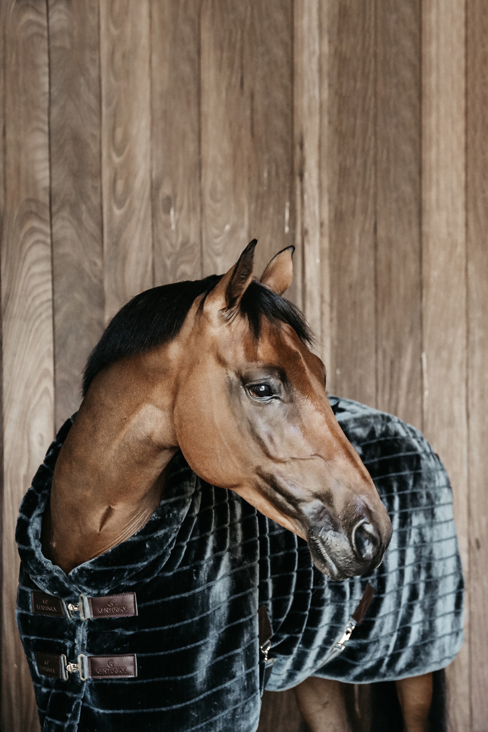 Tappeto da scuderia Kentucky Horsewear in finta pelliccia