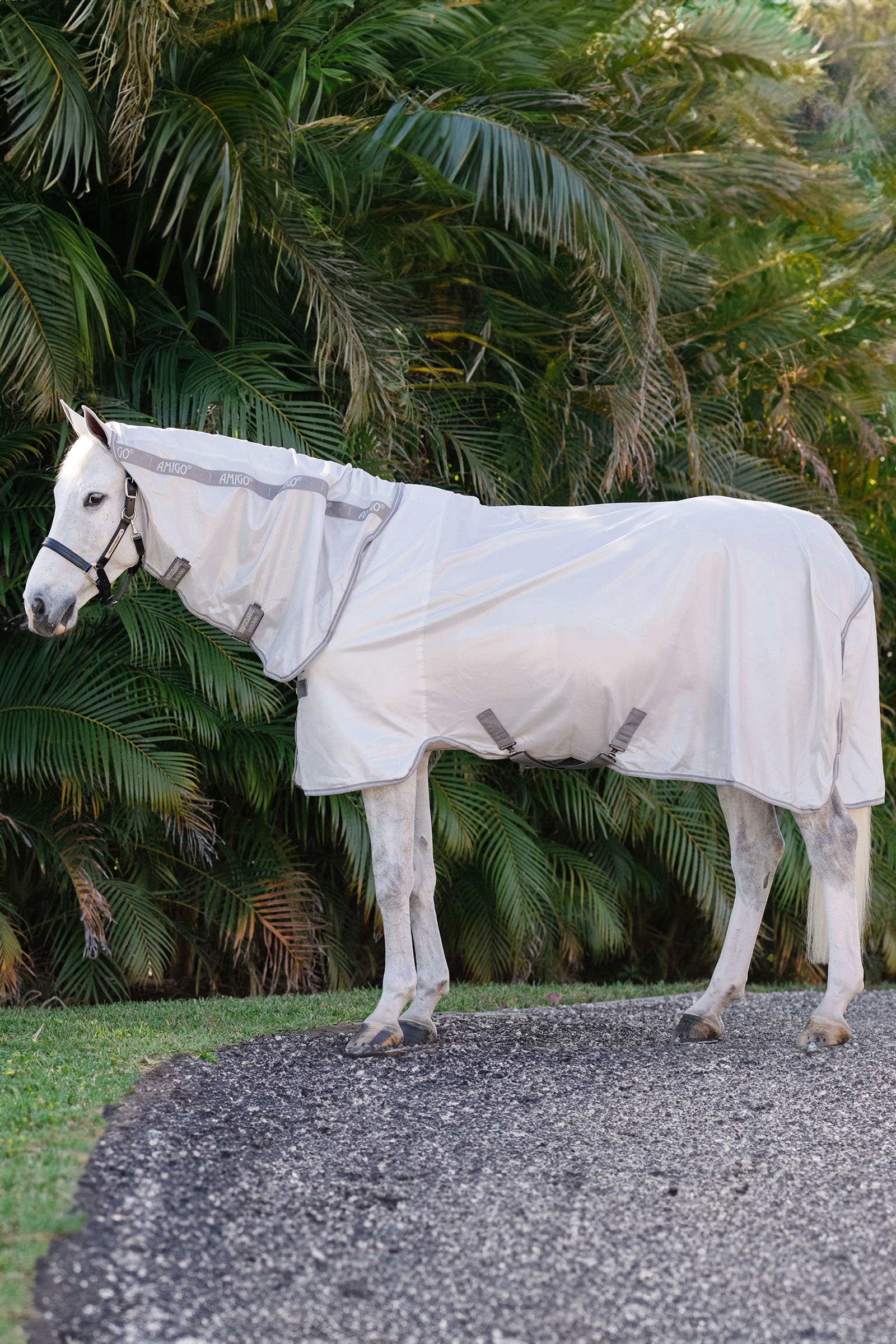 Horseware Amigo Coperta Anti-insetti Integrata