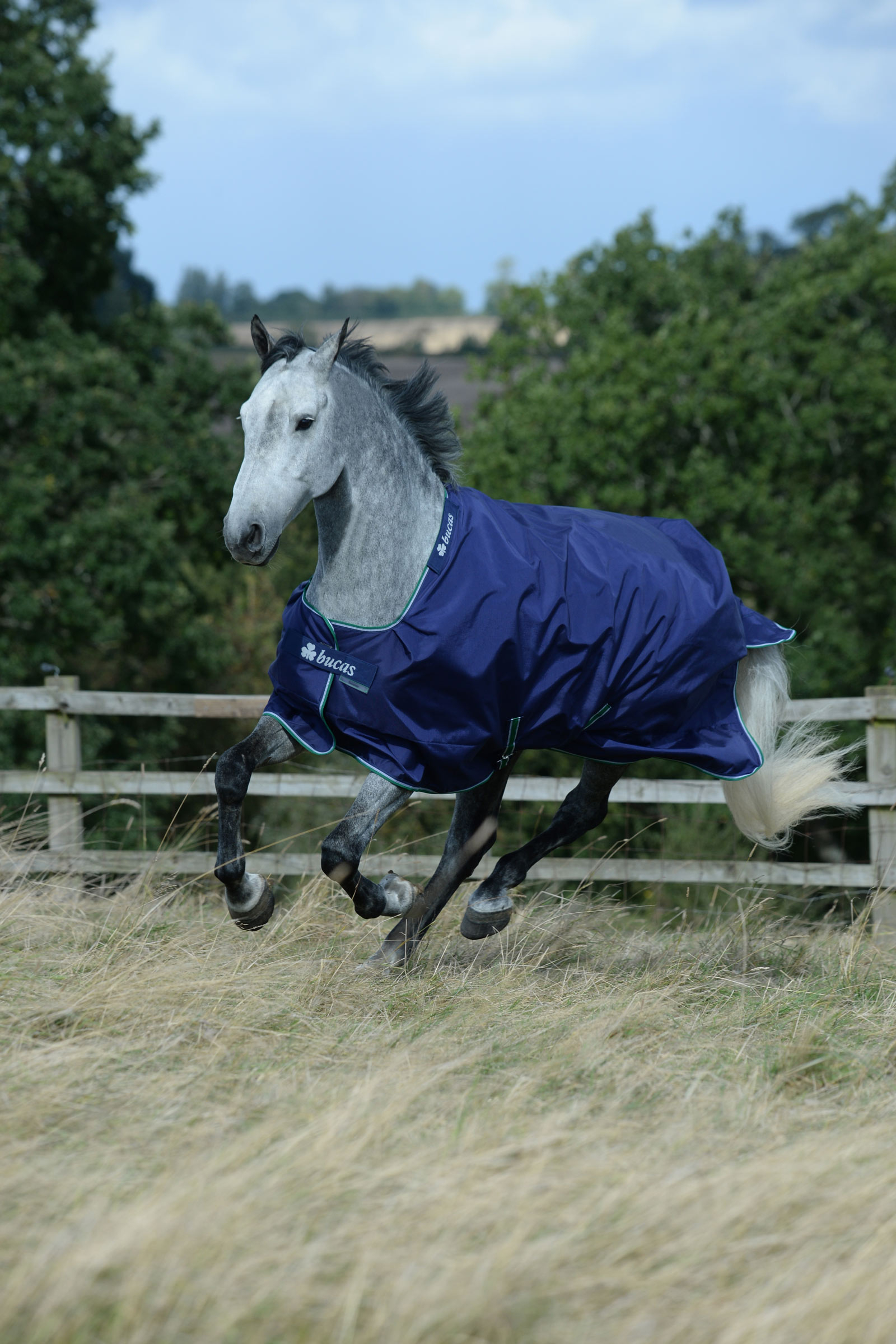 Bucas Smartex Medium coperta da turnout, 150g