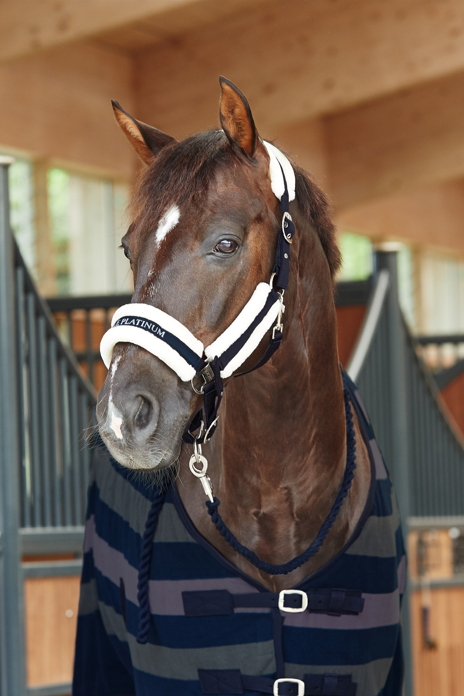 Horze capezza Stanford con interno in pelliccia