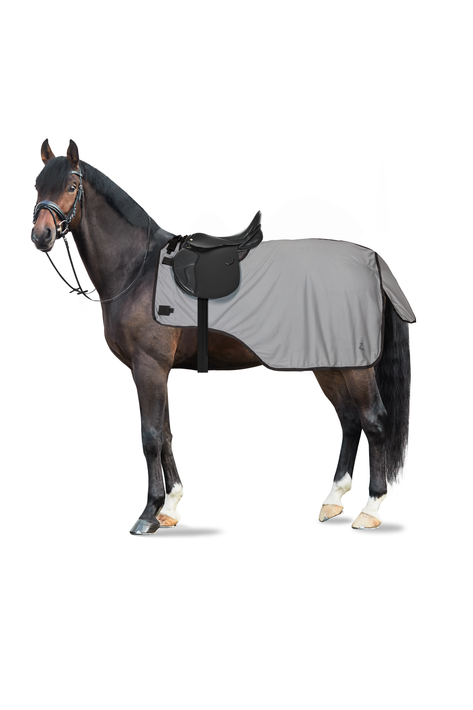 Horze Eira coperta da equitazione UV antimosche con collo staccabile