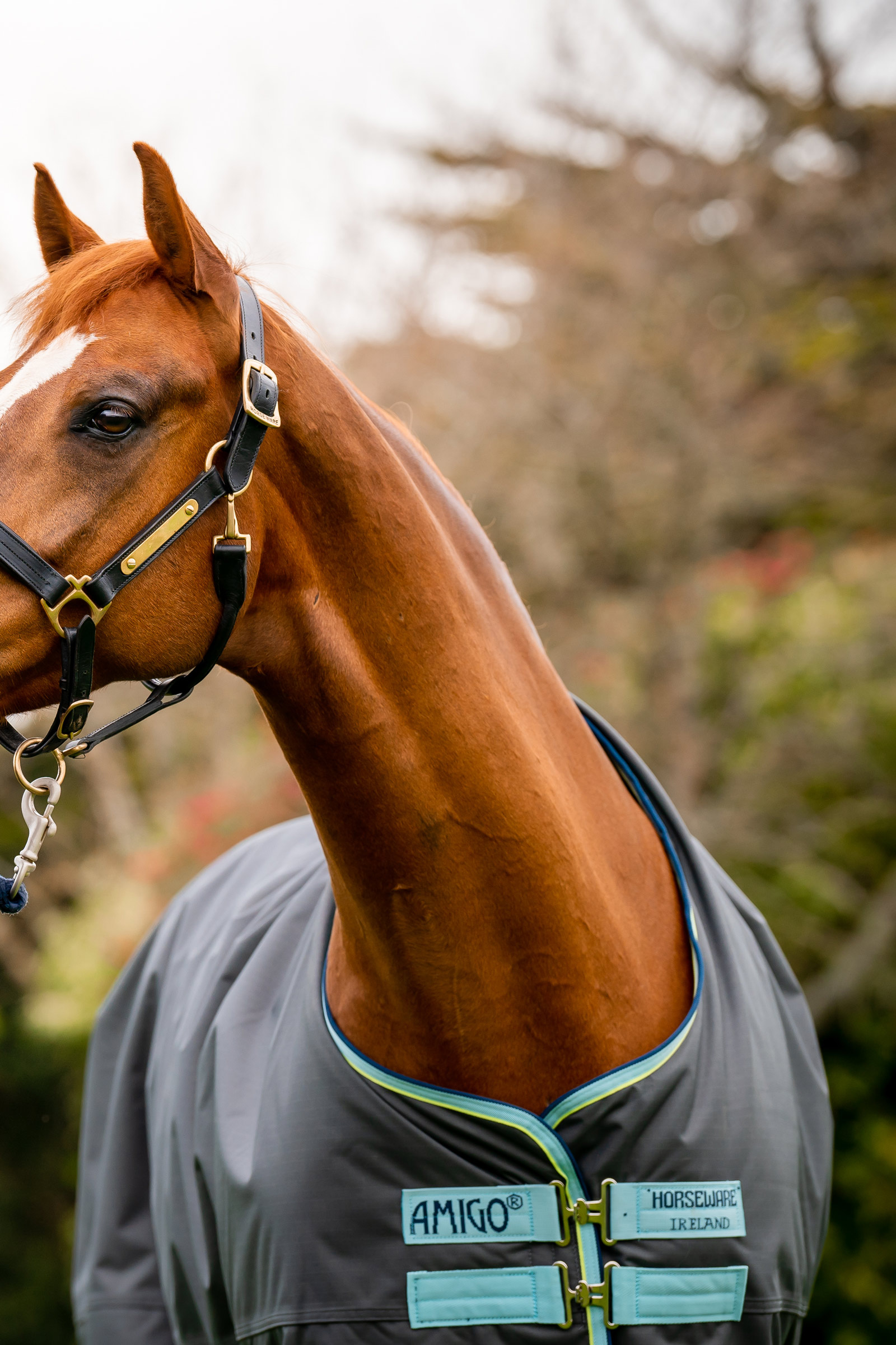 Horseware Amigo Hero Ripstop Plus coperta da turnout con collo staccabile, 200g