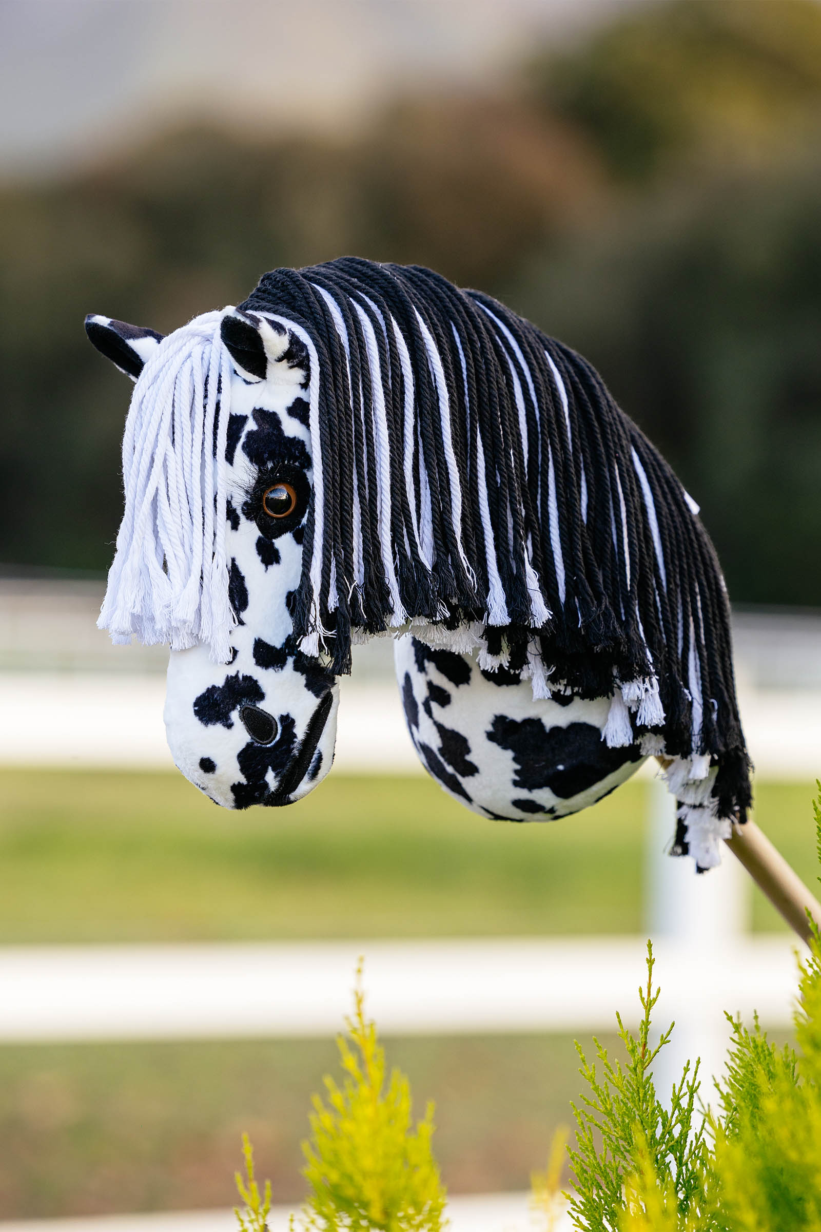 LeMieux Dakota cavallino a bastone