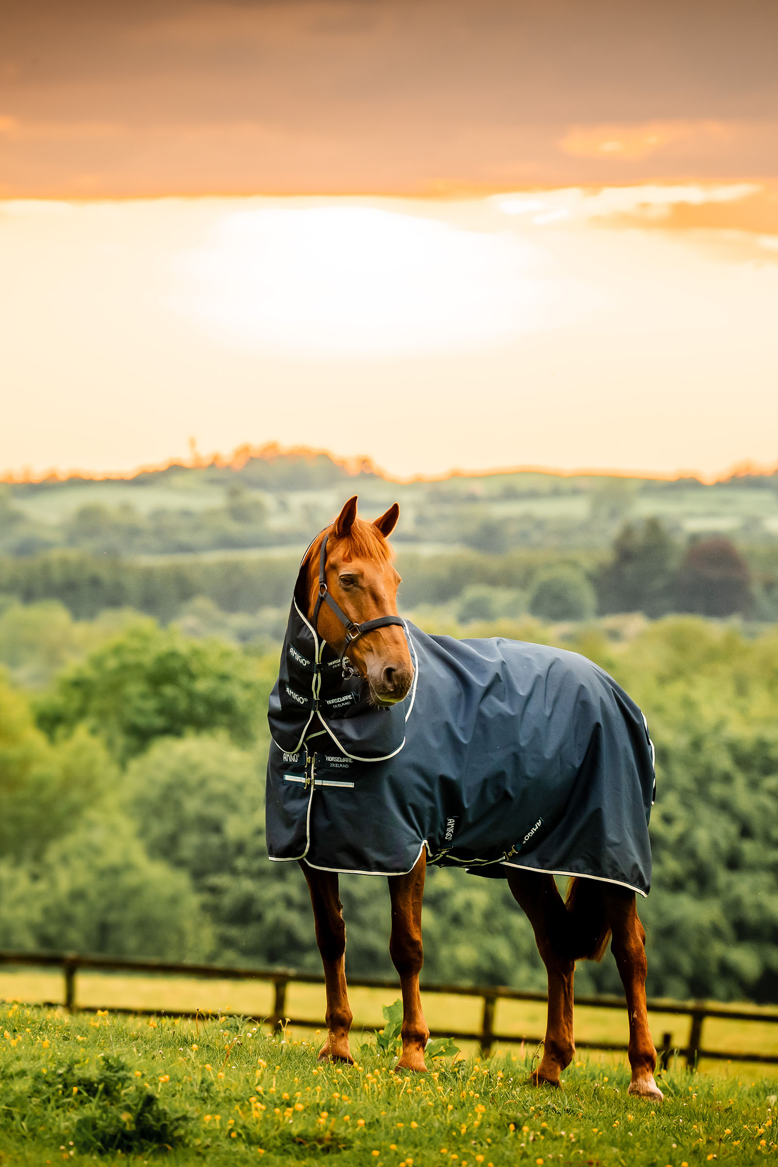 Horseware Amigo Ripstop 900D Plus coperta da turnout con collo staccabile, 100 g