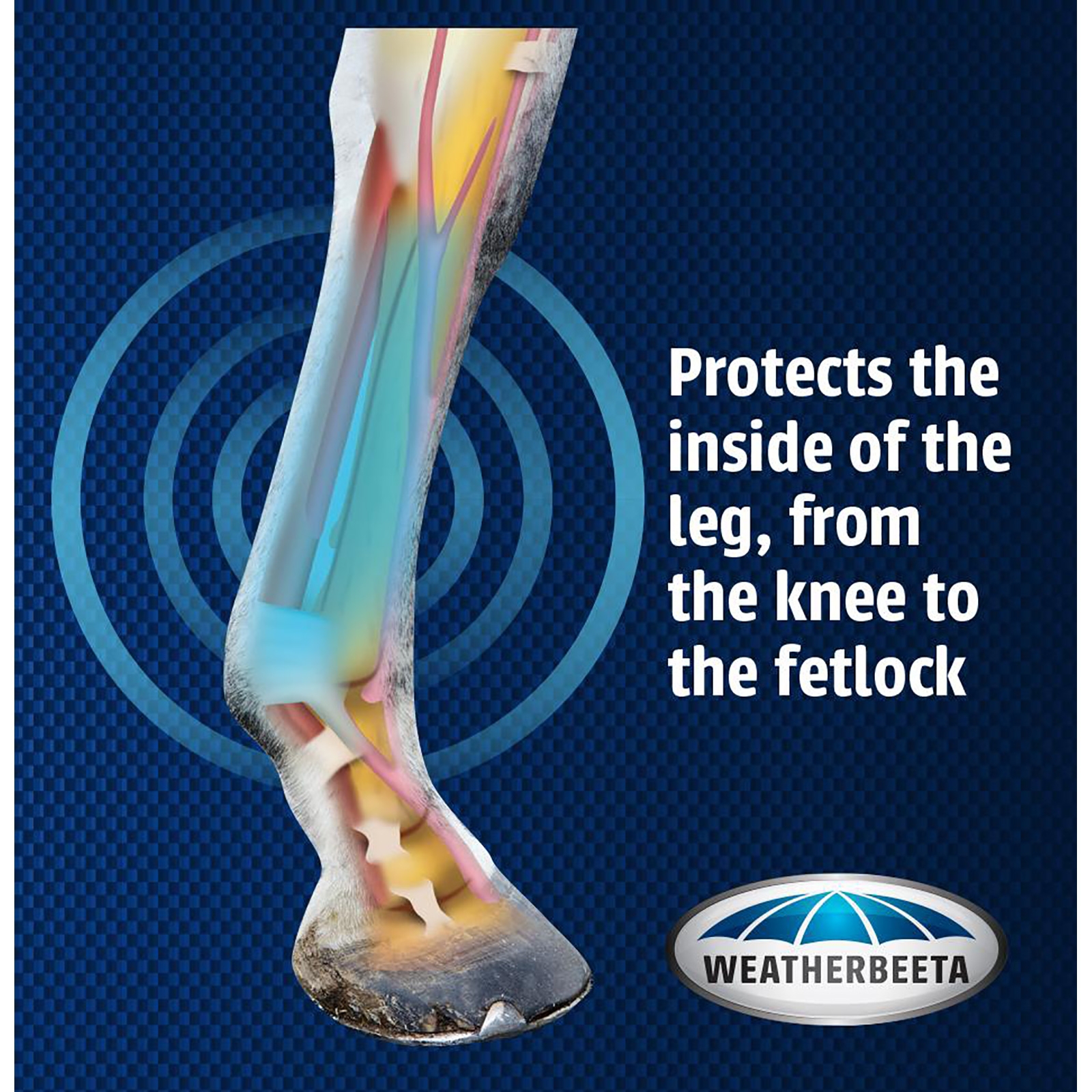 Stivali da ginnastica foderati in pura lana Weatherbeeta