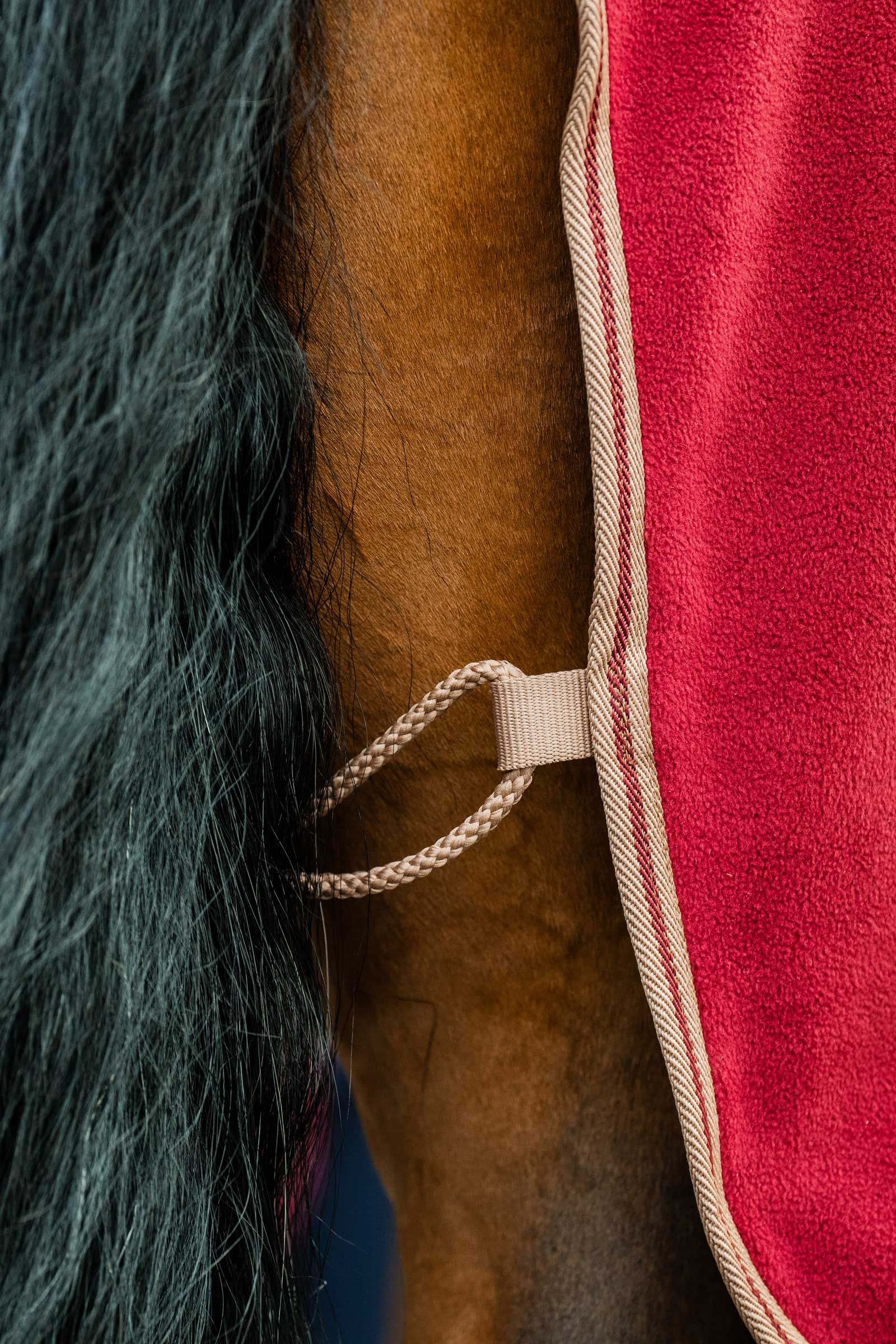 Horseware Amigo Coperta in Pile