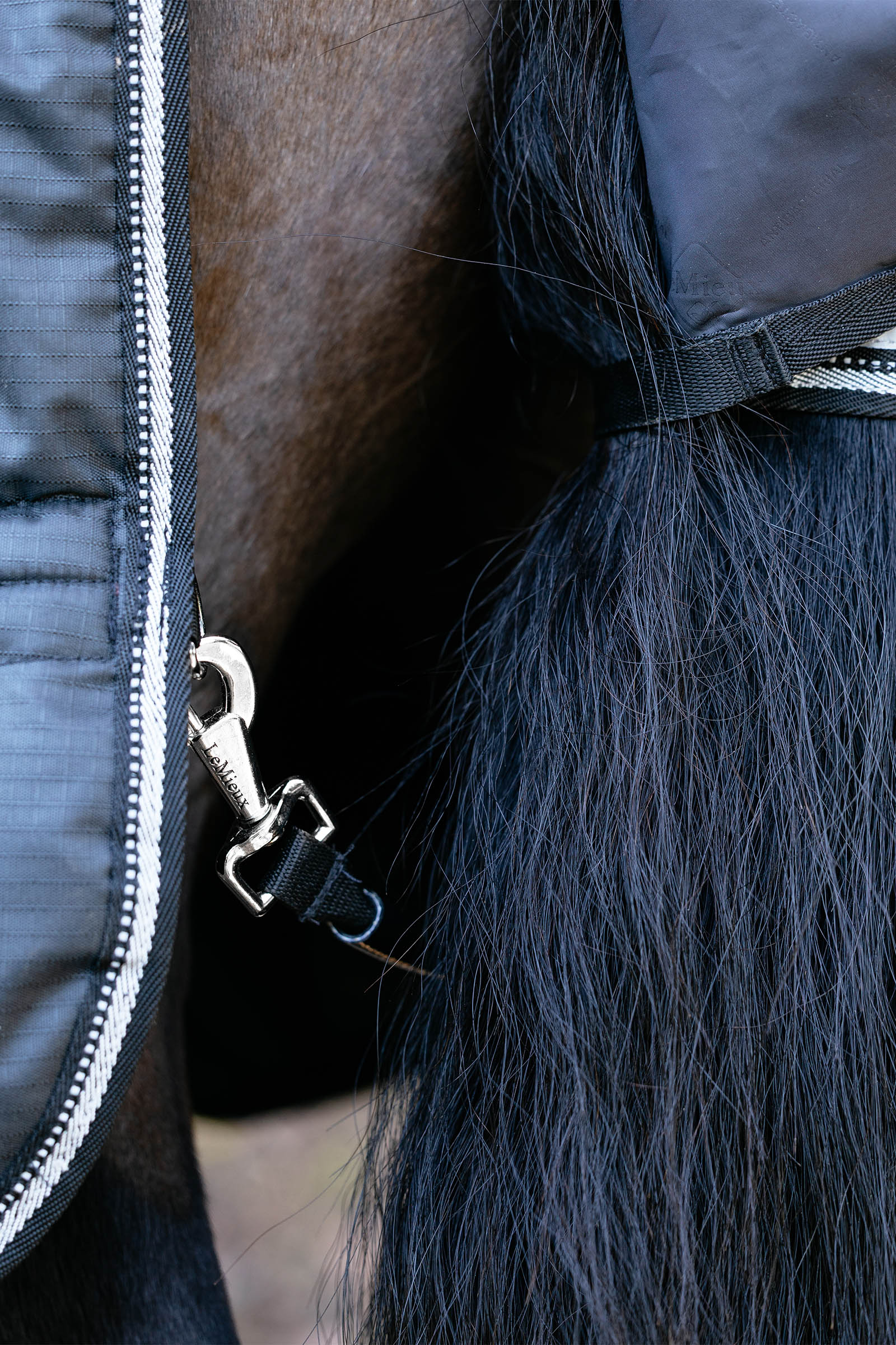 LeMieux Arika Reflective Turnout Rug With Detachable Neck, 200 g