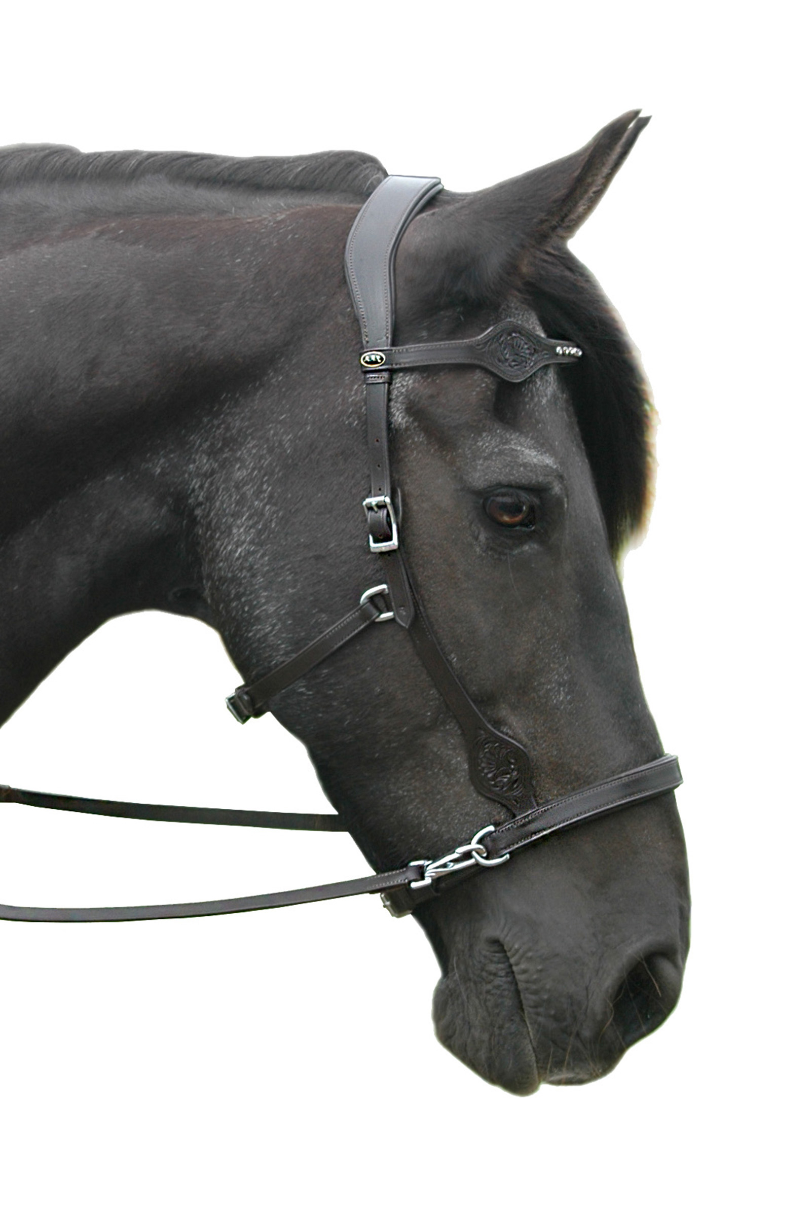 F.R.A. Freedom Riding Articles Dandy Sidepull con redini (Sistema 3)
