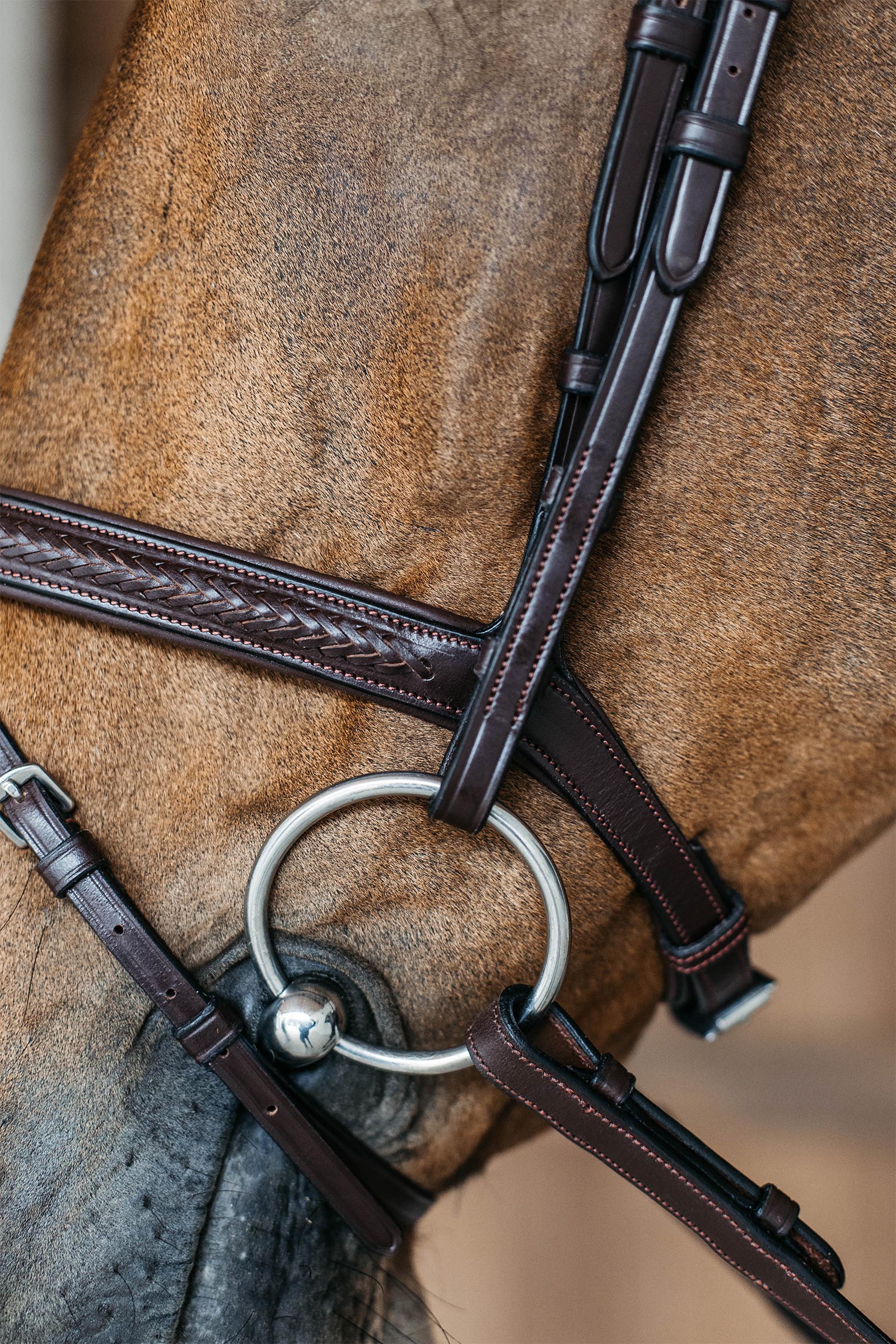 Dy'on New English testiera intrecciata con capezzina combinata