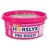 Horslyx Pro-Digest Balancer Lickstone 650g