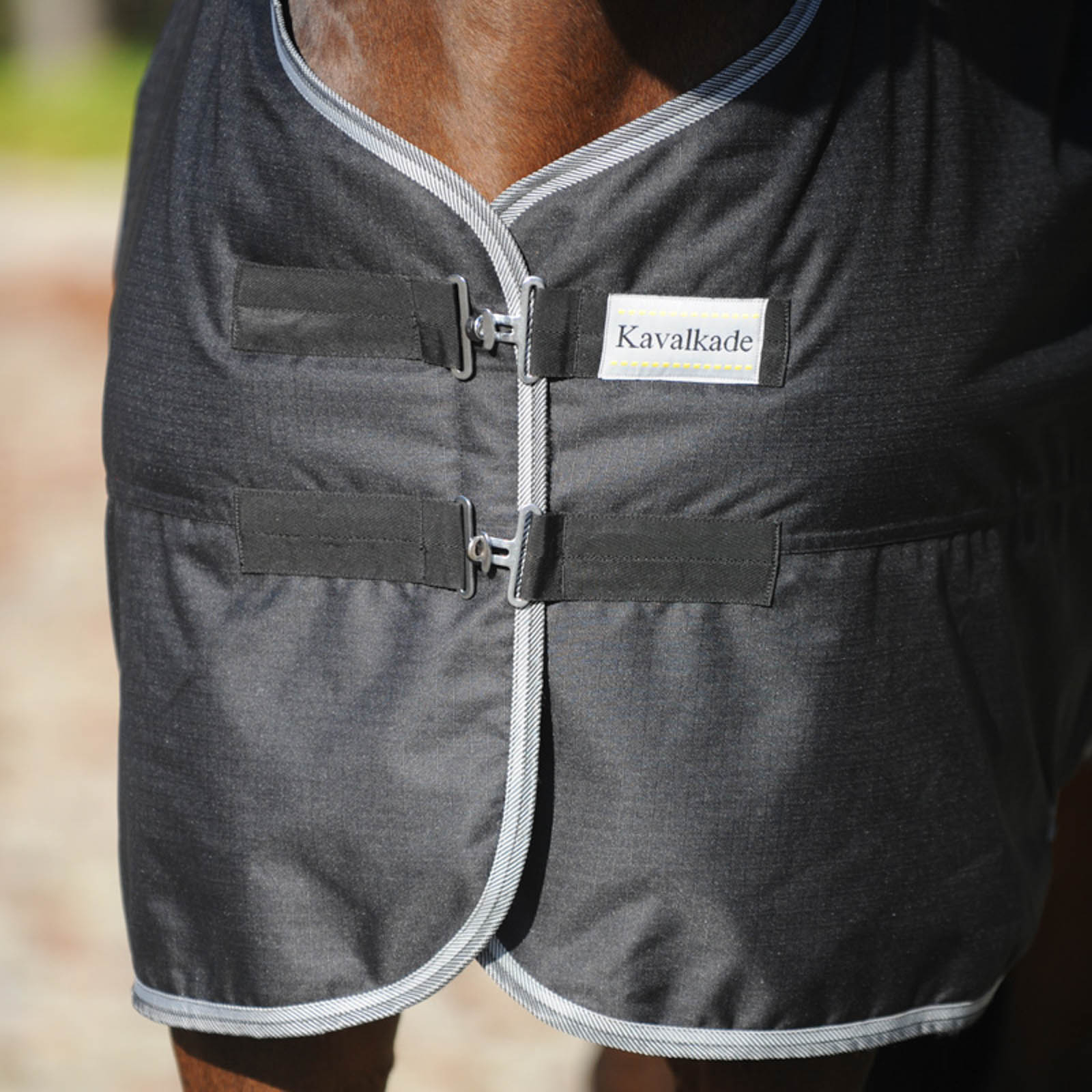 Tappeto Turnout Kavalkade Winnipeg, 50 g