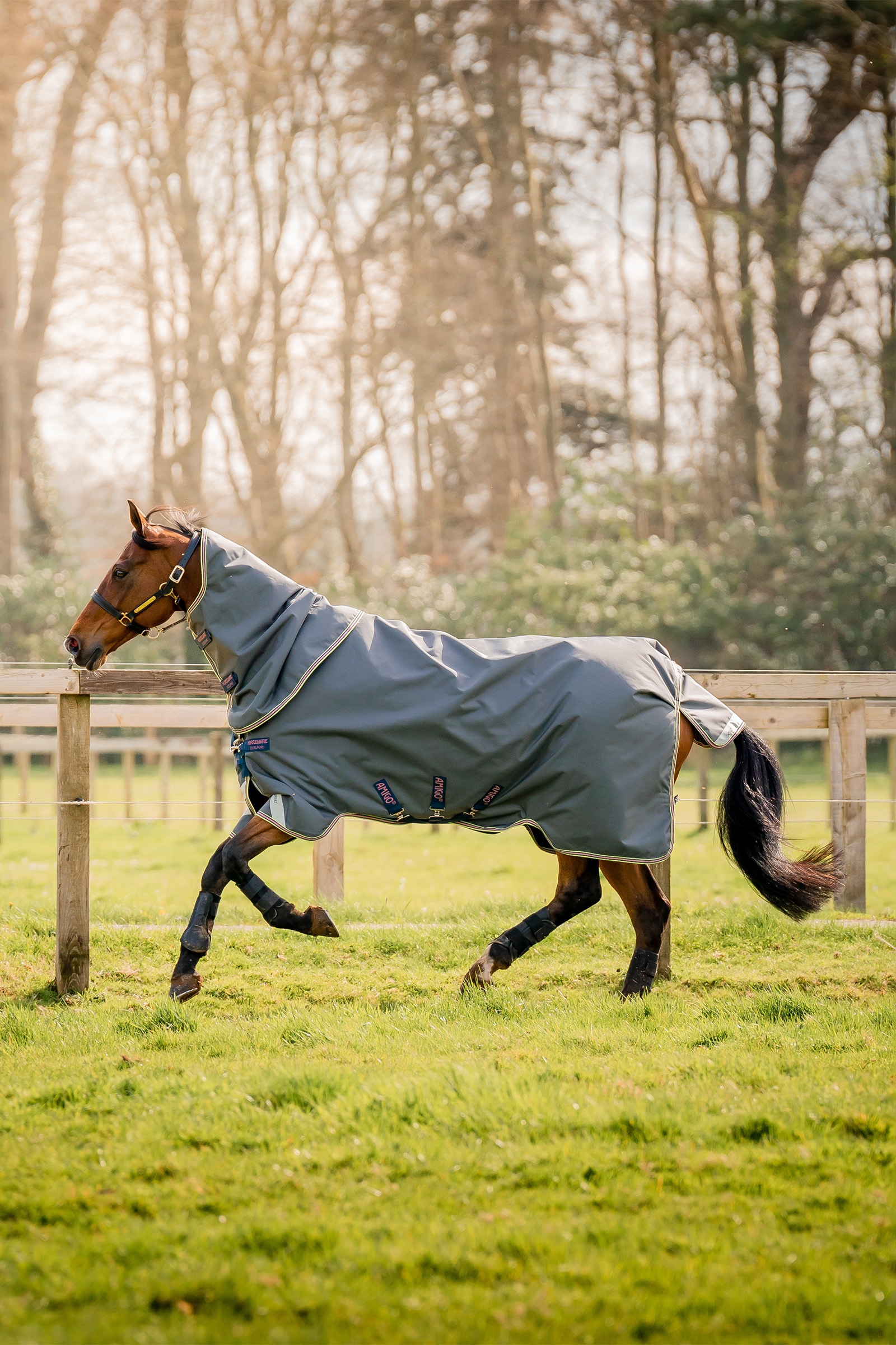 Shadow/ Navy & Rose Horseware Amigo Bravo 12 Plus coperta da turnout con collo staccabile, 0g