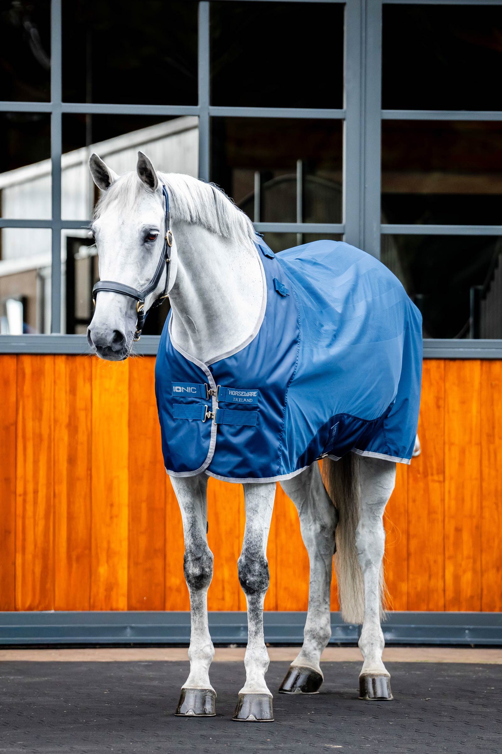 Horseware Ionic Therapy Mesh Coperta antisudore
