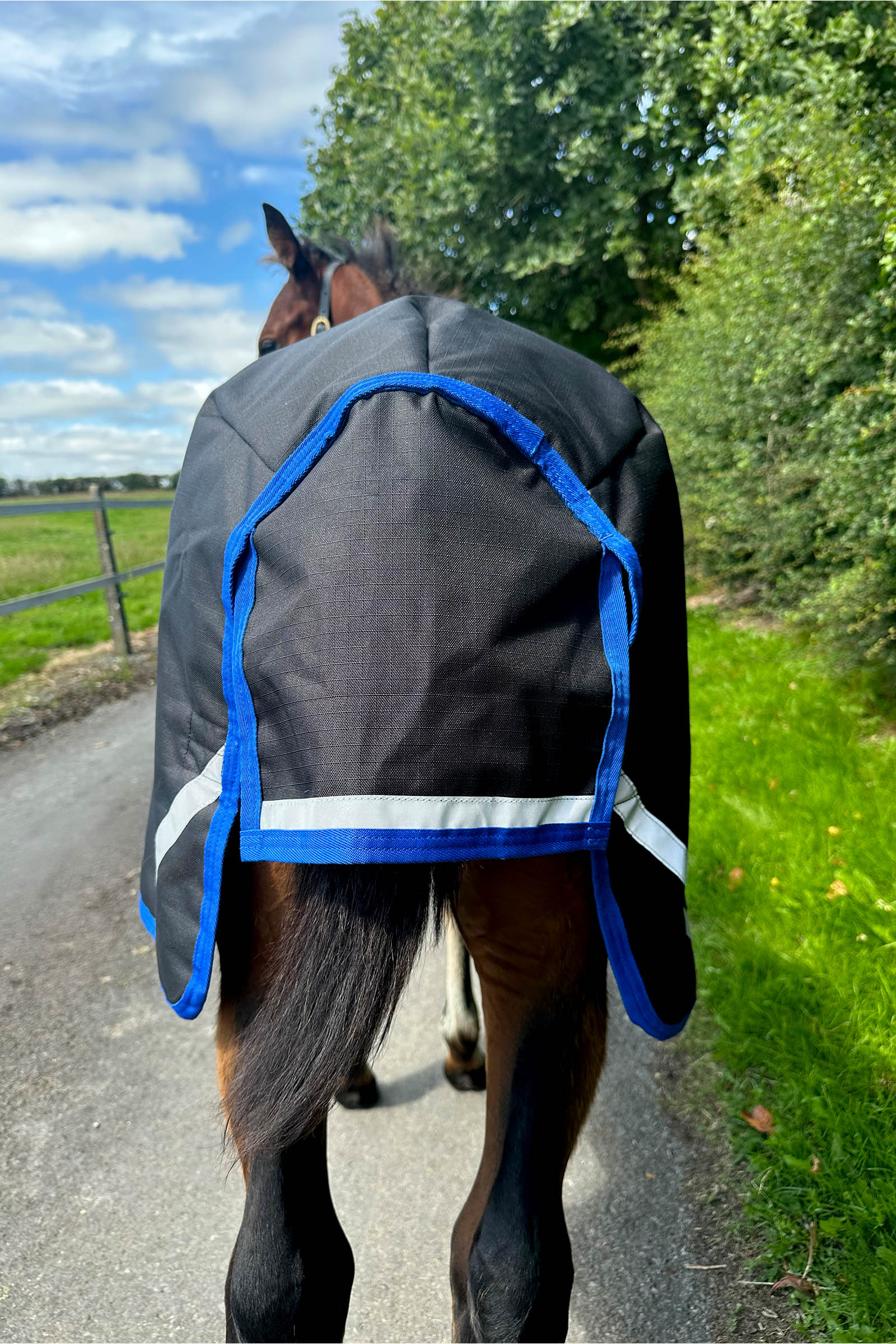 Horseware Amigo Ripstop 900D coperta da paddock per puledri 50g