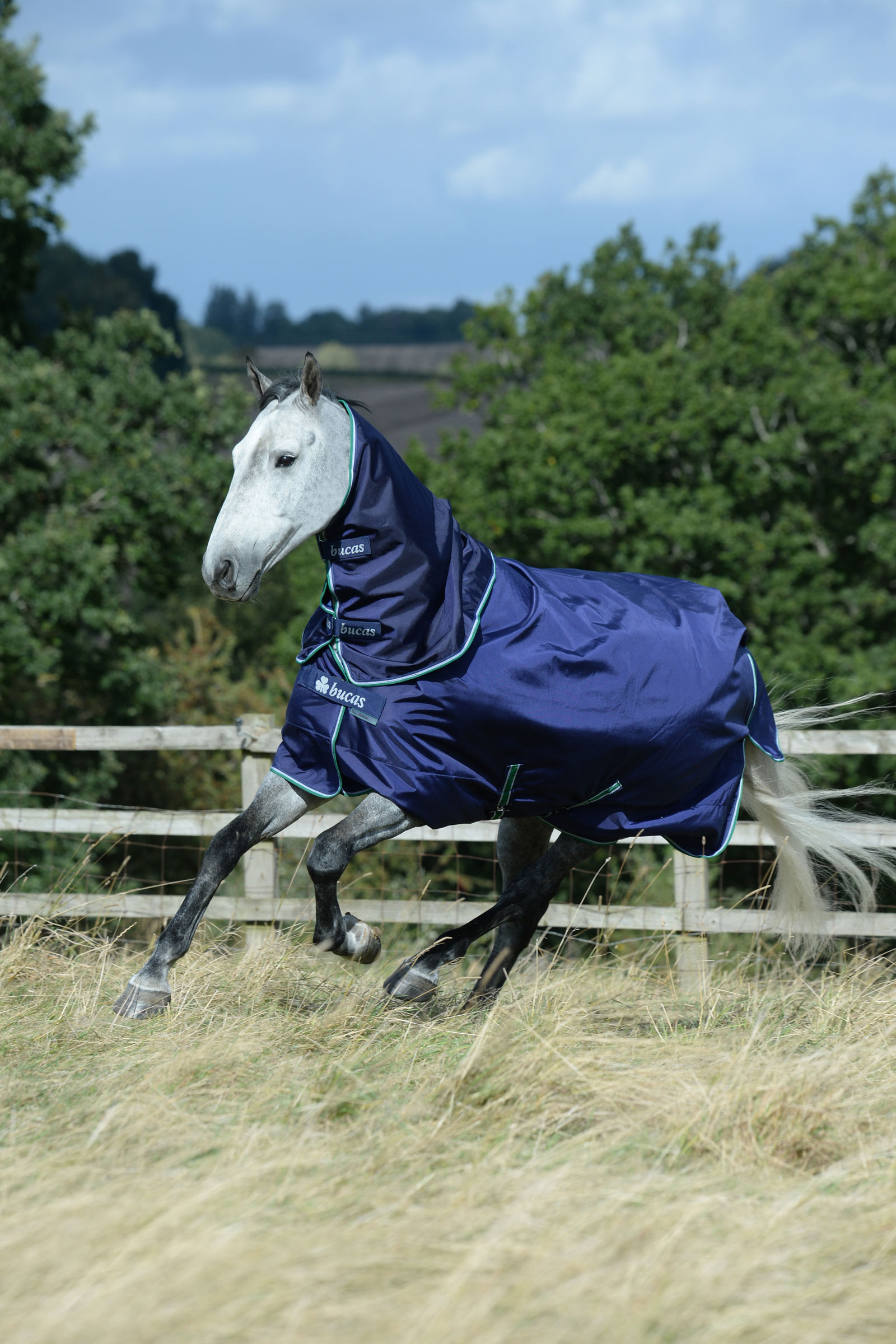 Bucas Smartex Medium coperta da turnout, 150g