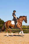 Weatherbeeta Tough-Tec Prime Stinchiere dressage
