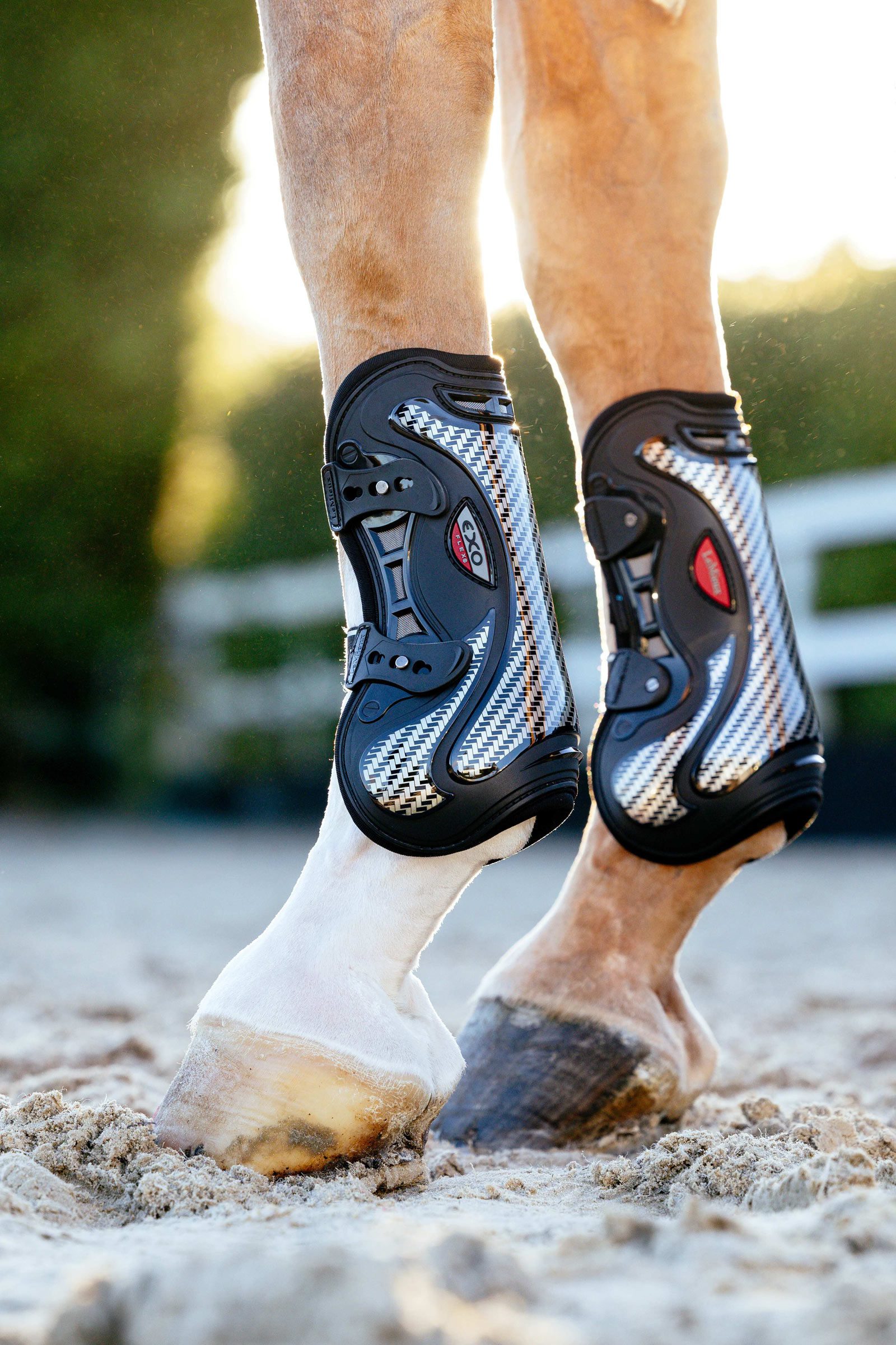 Paratendini LeMieux EXO Flex