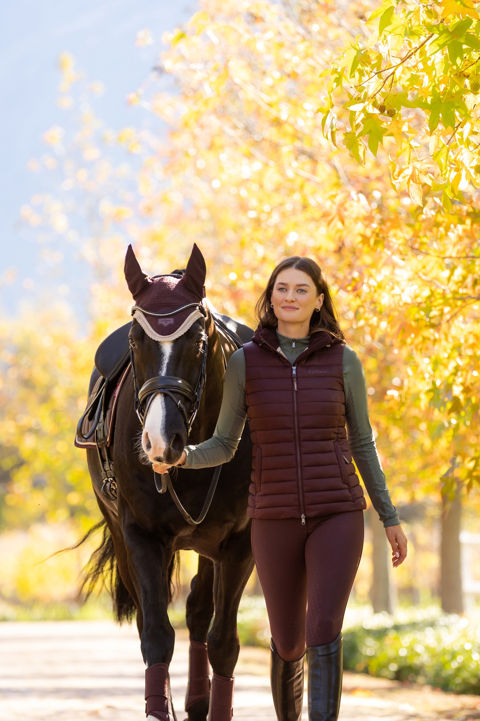LeMieux Loire Cappucci antimosche