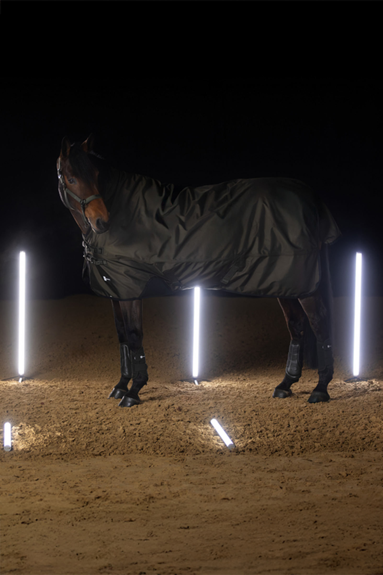 Eskadron Dynamics AW25 Beta coperta da paddock, 150 g