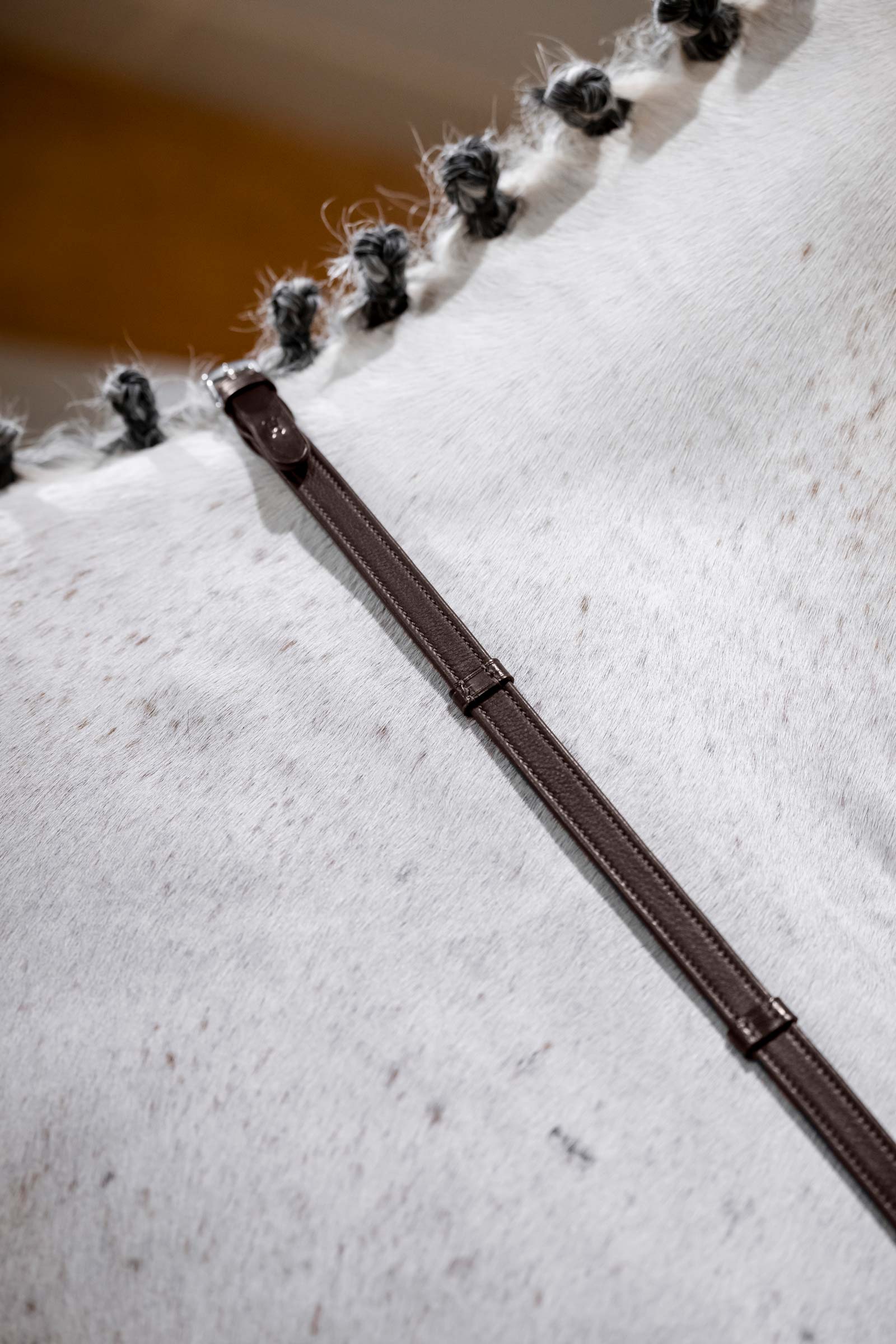 Brown Horseware redini da salto con fermagli