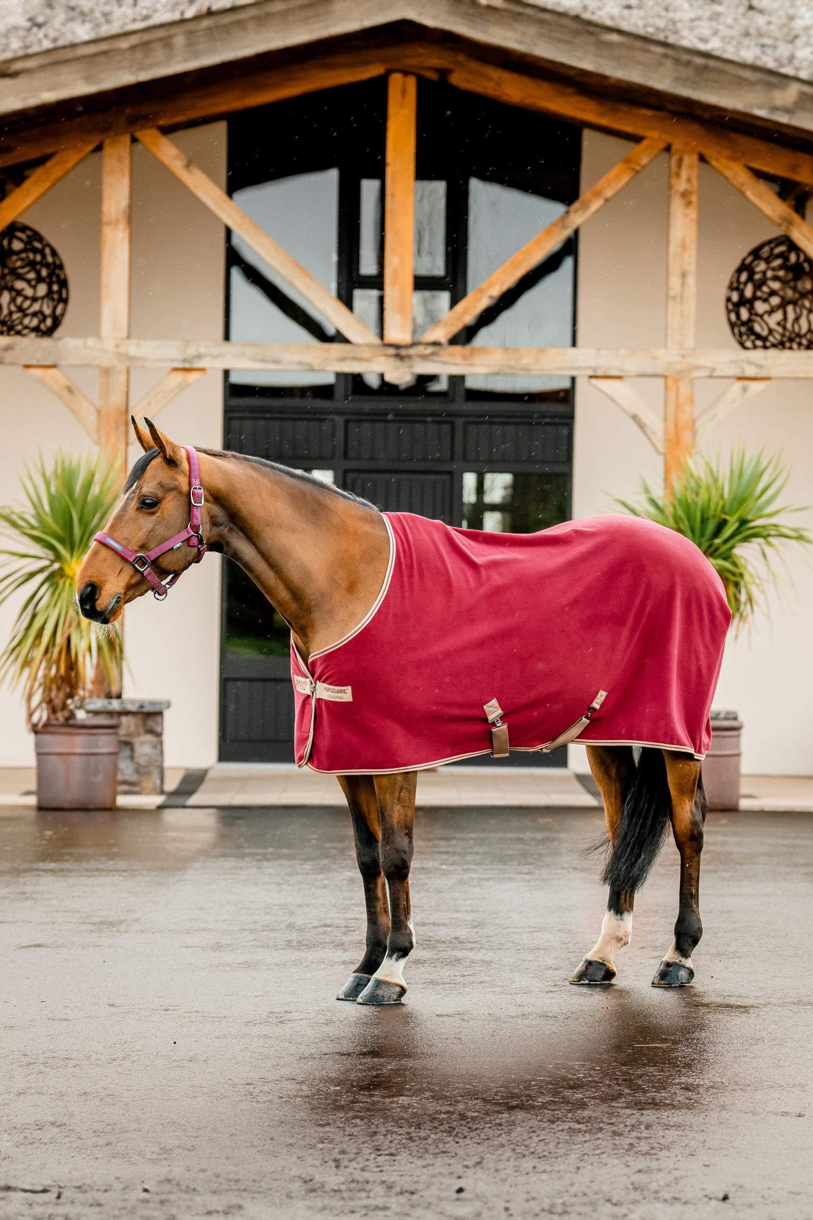 Horseware Amigo Coperta in Pile