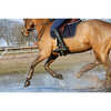 Sottosella Kentucky Horsewear Absorb