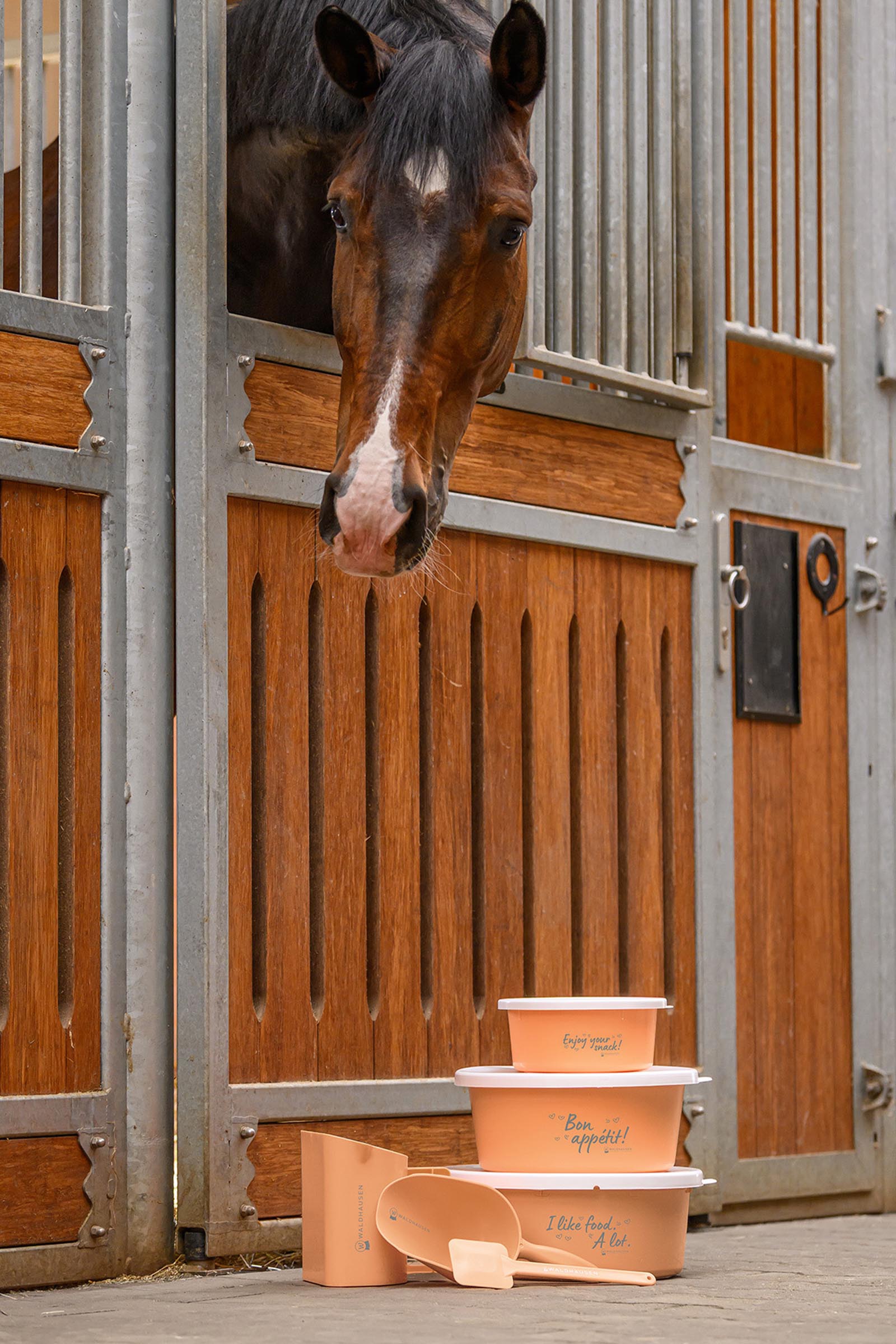 Waldhausen paletta mangime (2L)