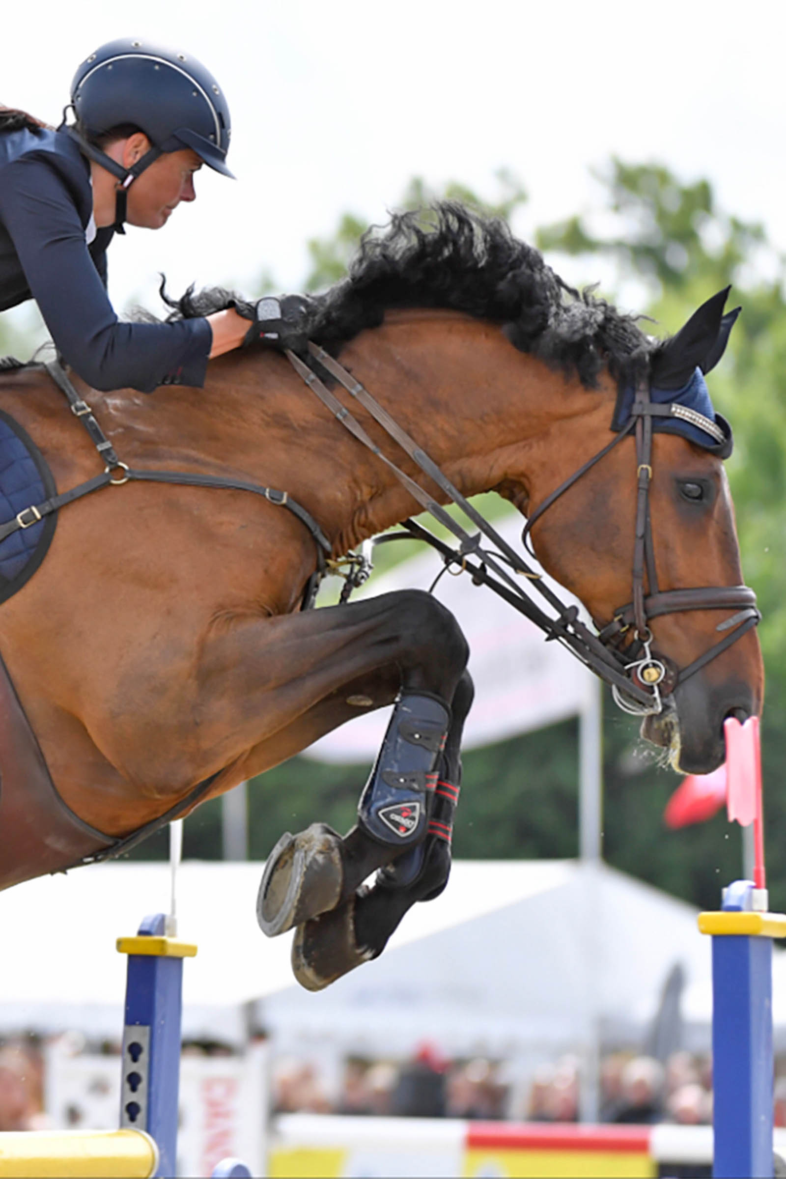 Catago FIR-Tech Paratendini