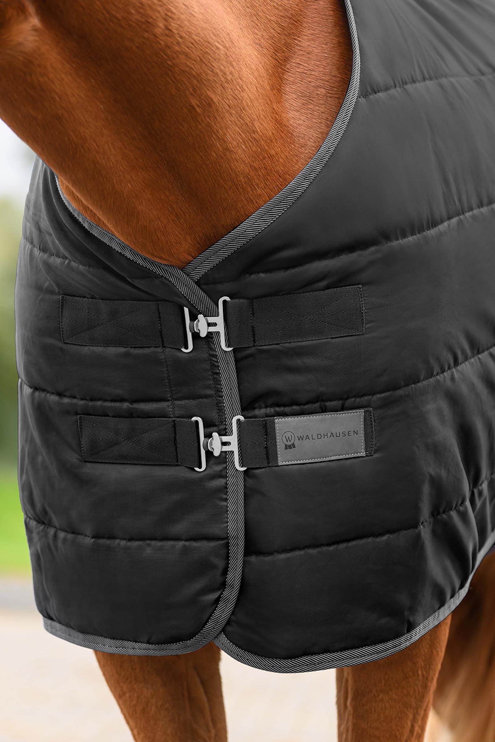 Waldhausen ECONOMIC coperta da scuderia, 100g