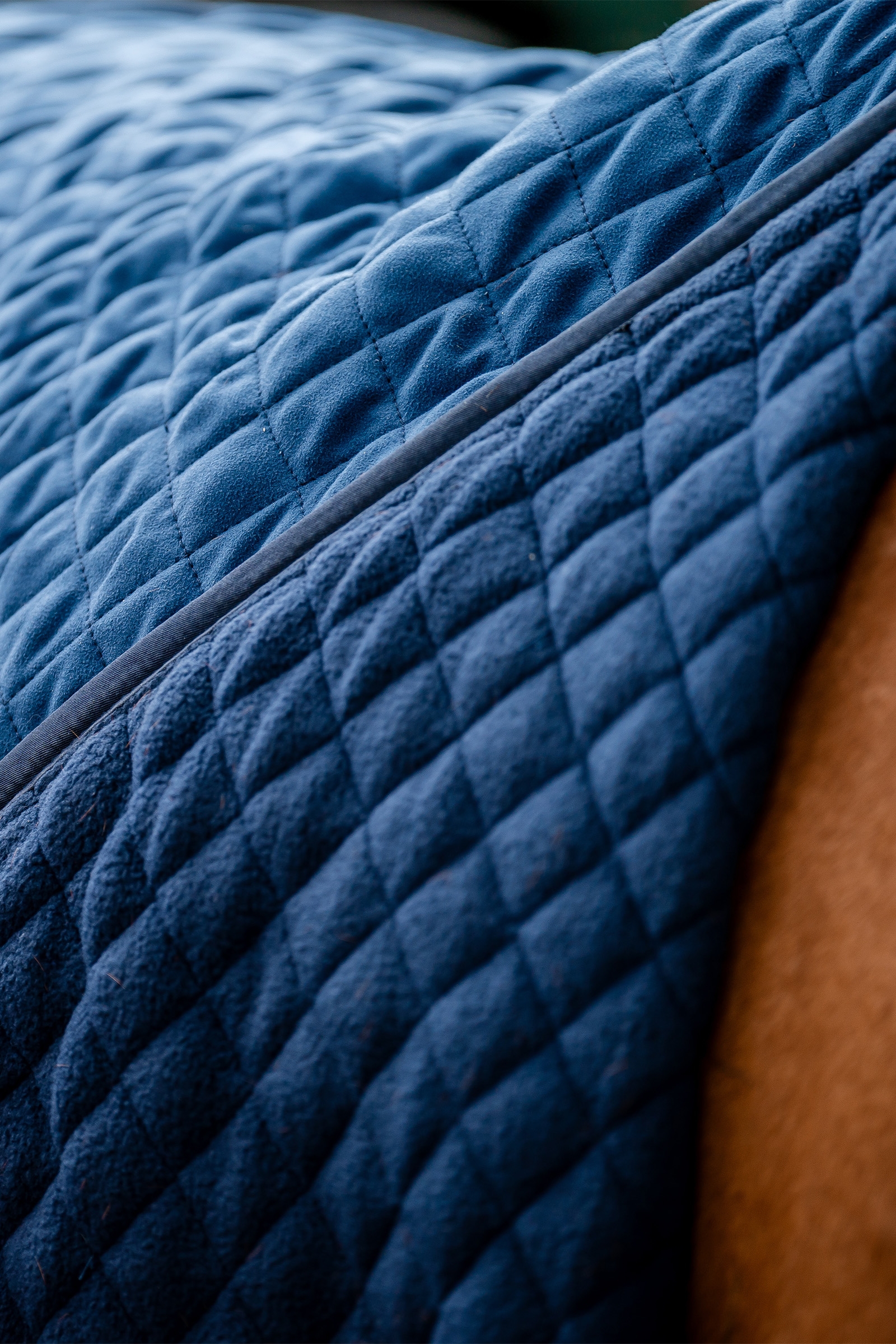 Horseware Signature Coperta da trasporto, 50g