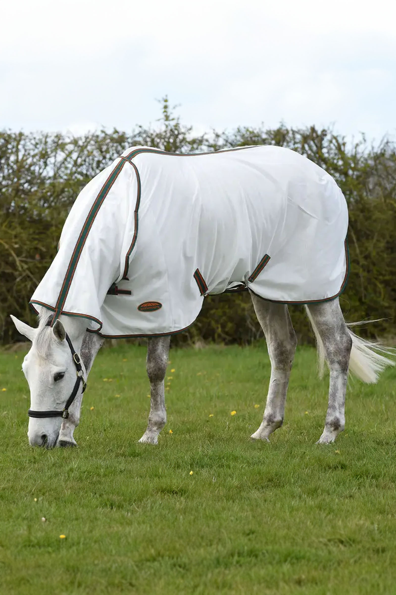 Weatherbeeta Comfitec Tyro coperta in mesh con collo integrato