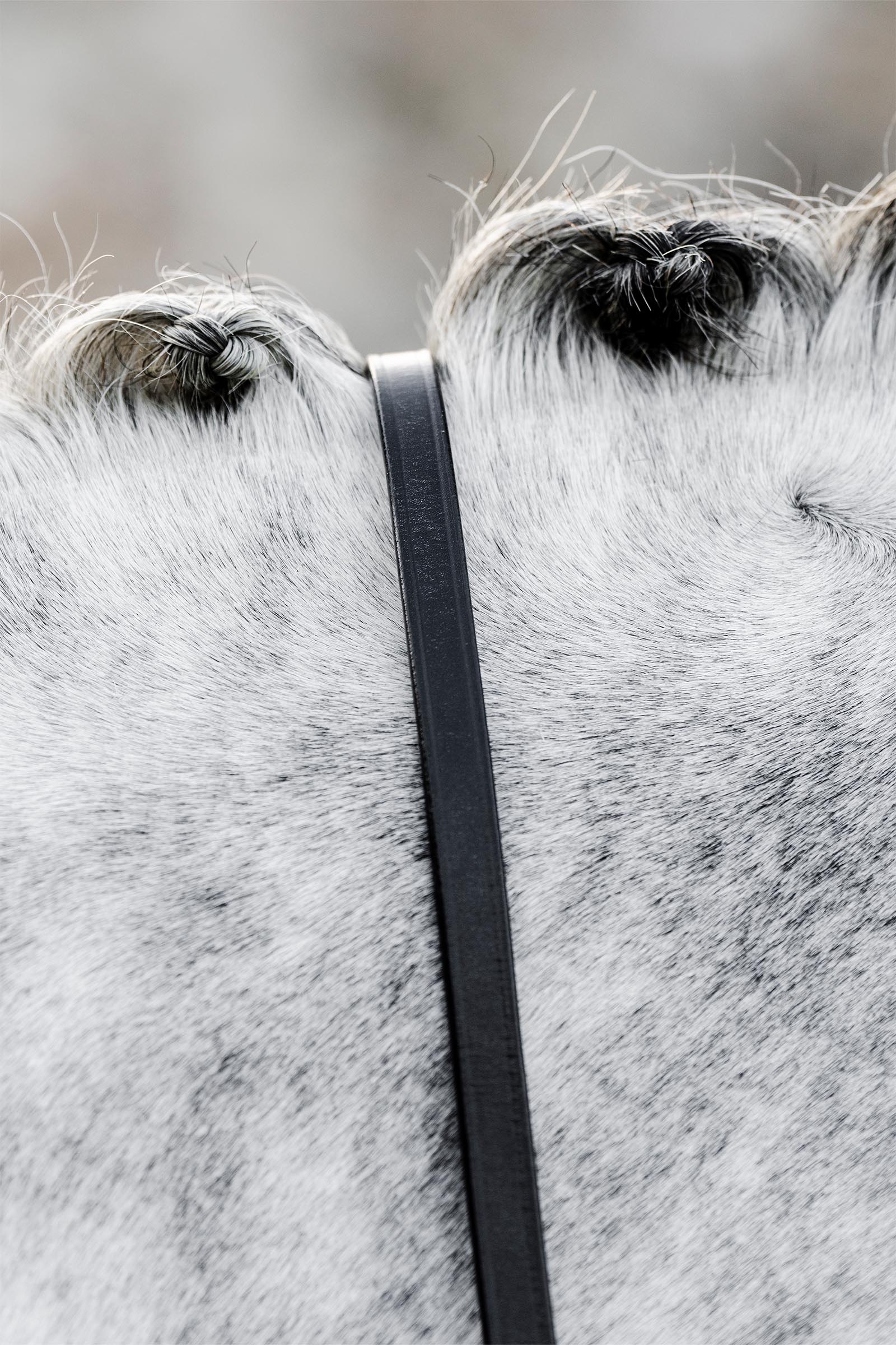 Horseware redini da morso