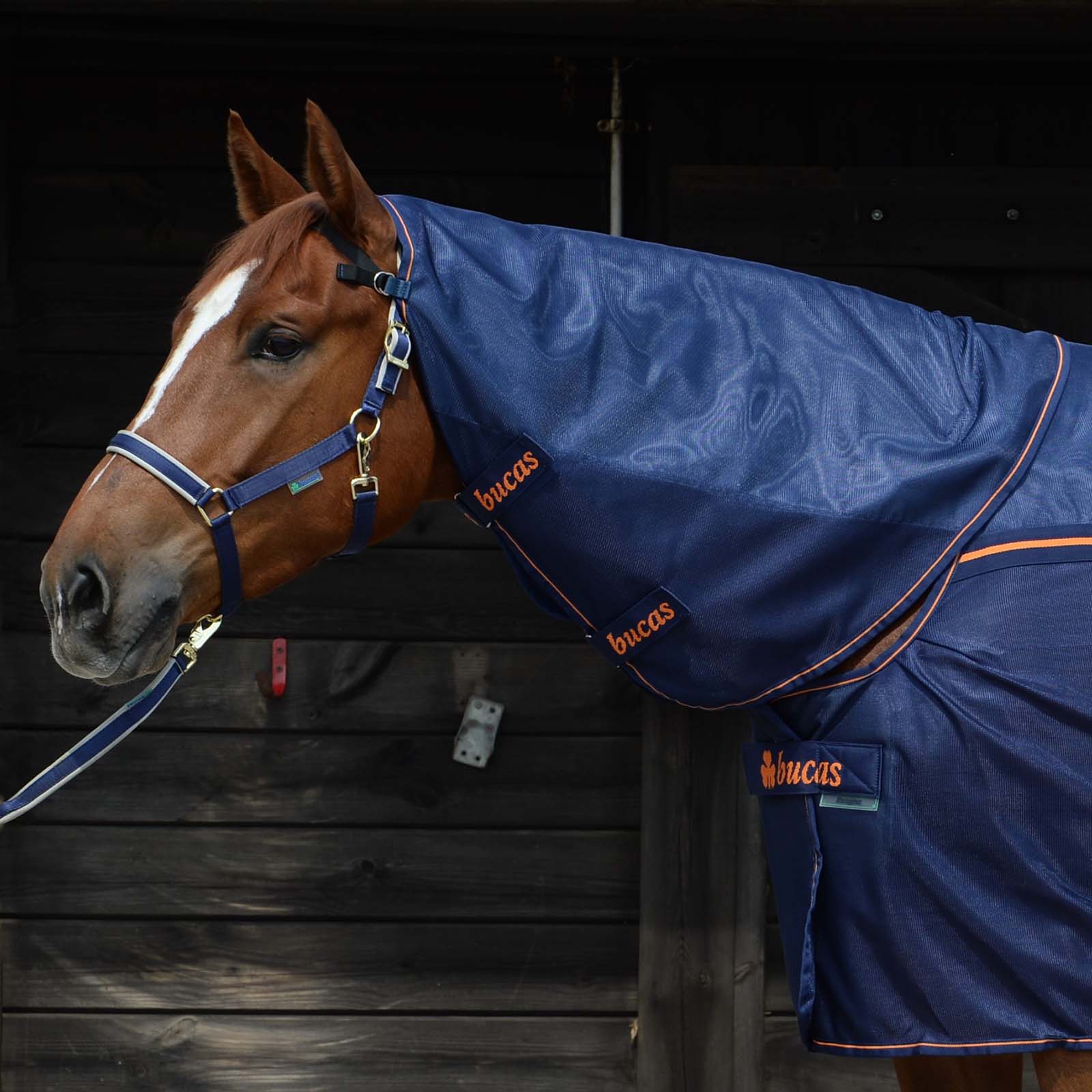 Bucas Therapy Collo a rete