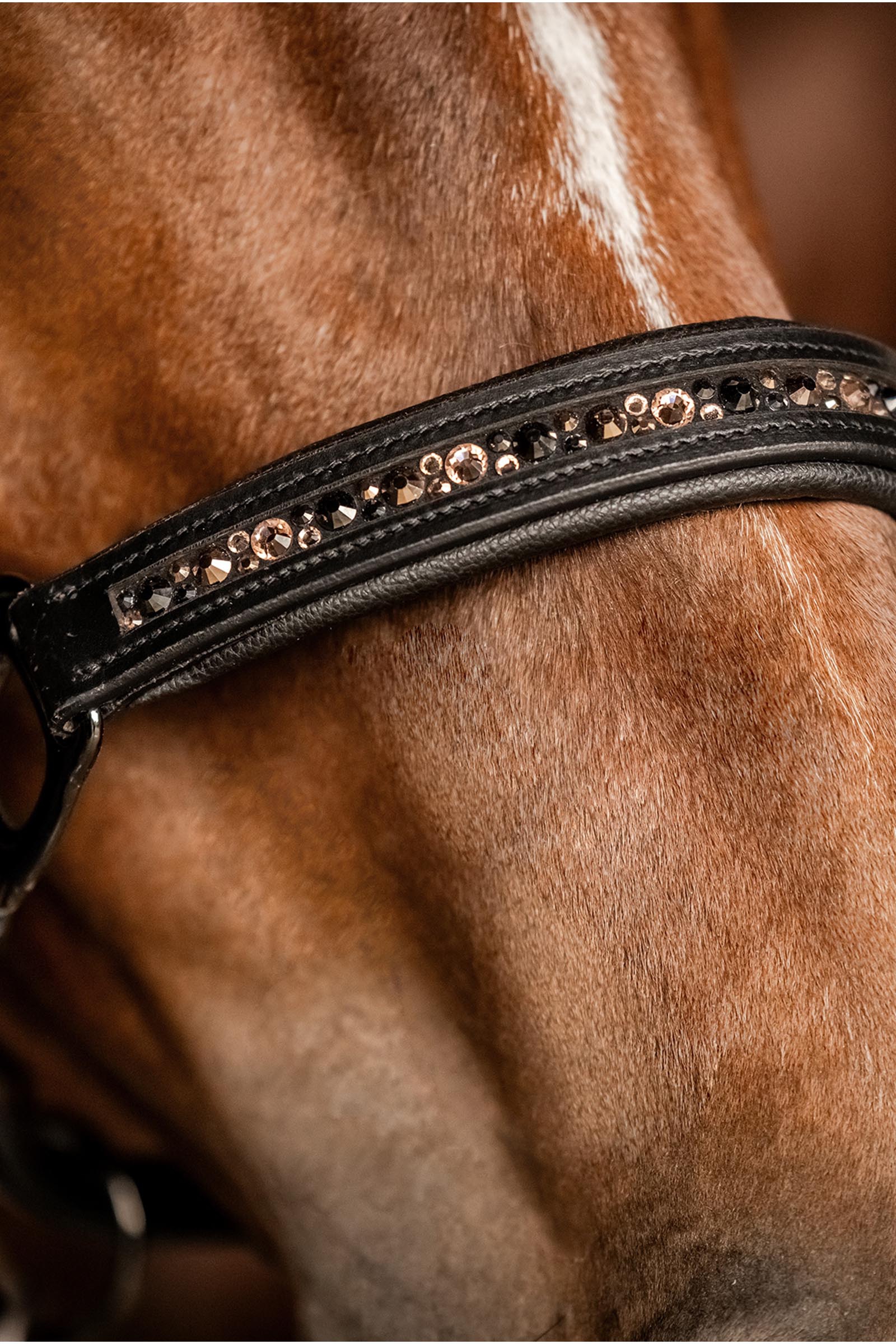 Waldhausen X-Line Crystal Cavezza in pelle