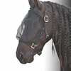 Headcollar con maschera antimosche di cavallo di Harry