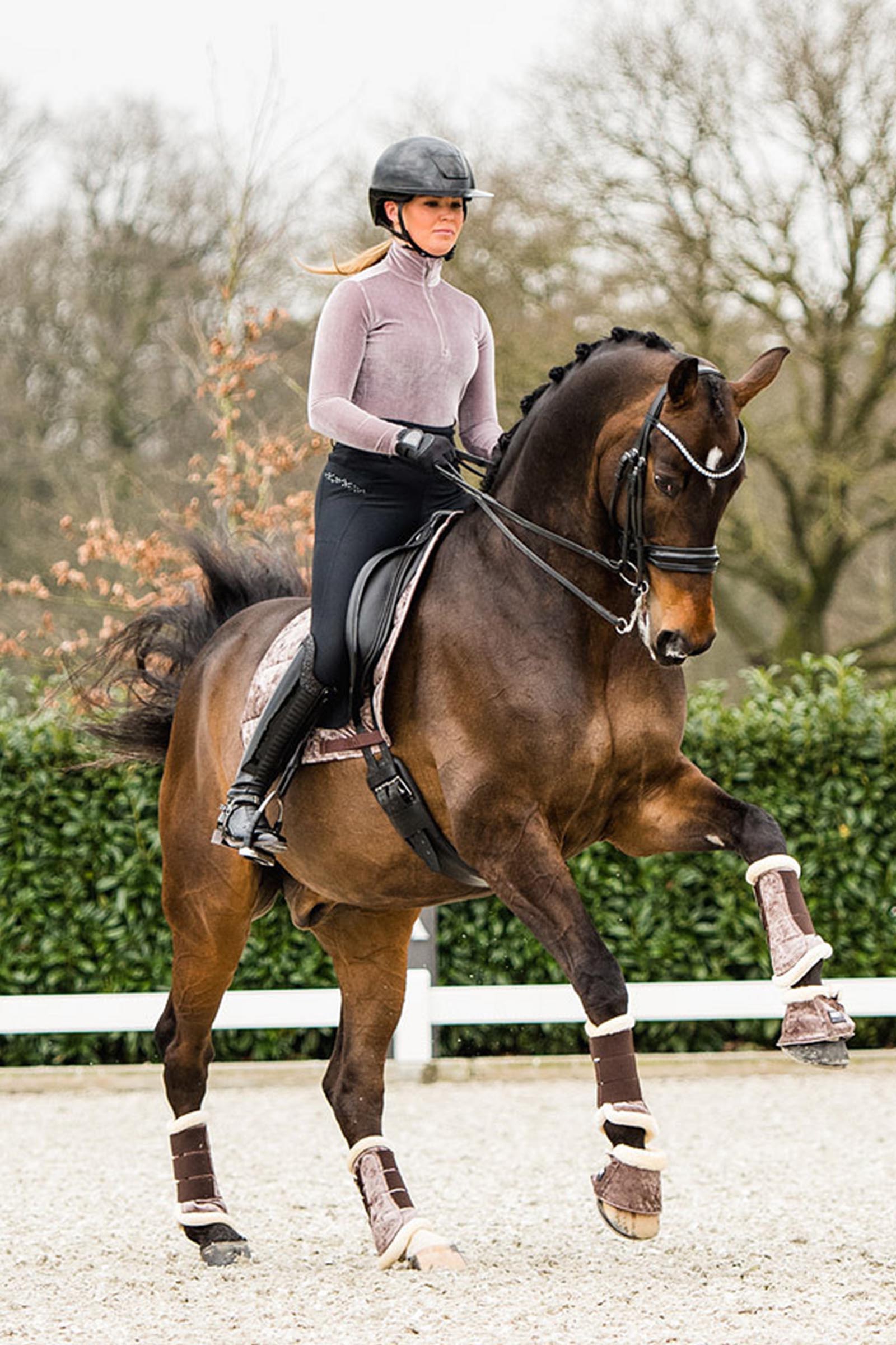 ANKY Jubilee Paratendini Proficient