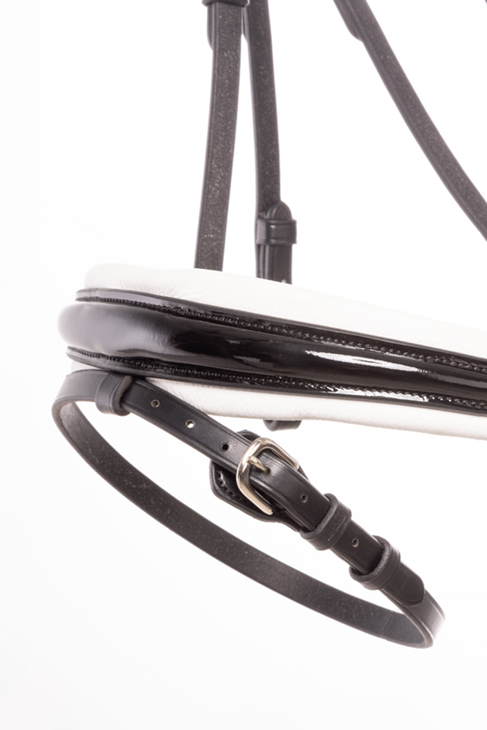 Kavalkade Zora Krank Trento